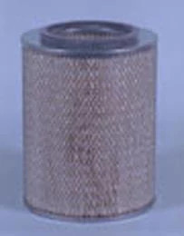 Filtre à air Fleetguard | NEWHOLLANDAG | CA | FR