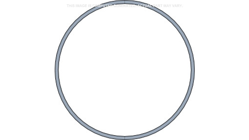 O-RING | CASEIH | EU | EN