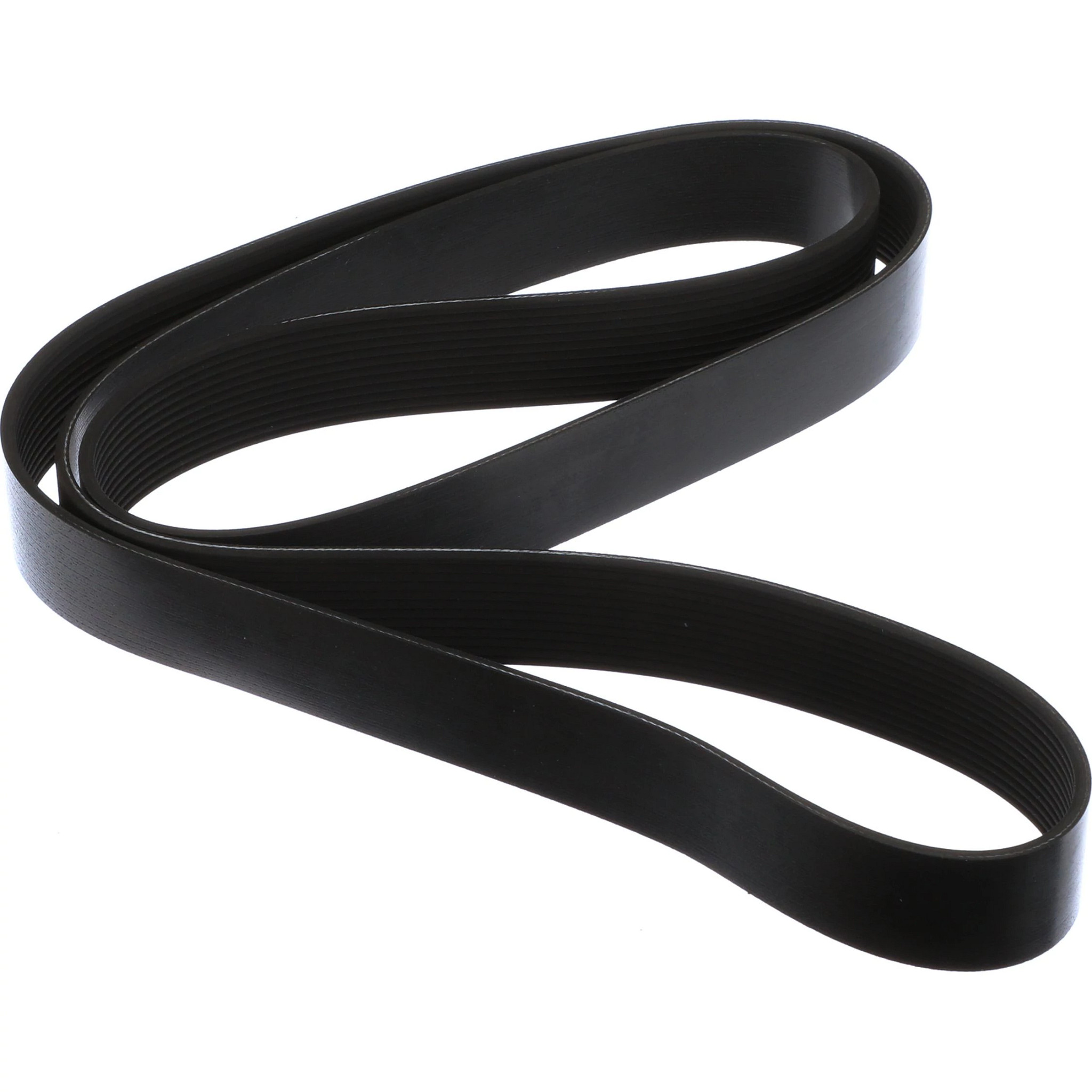 COURROIE | CASECE | CA | FR