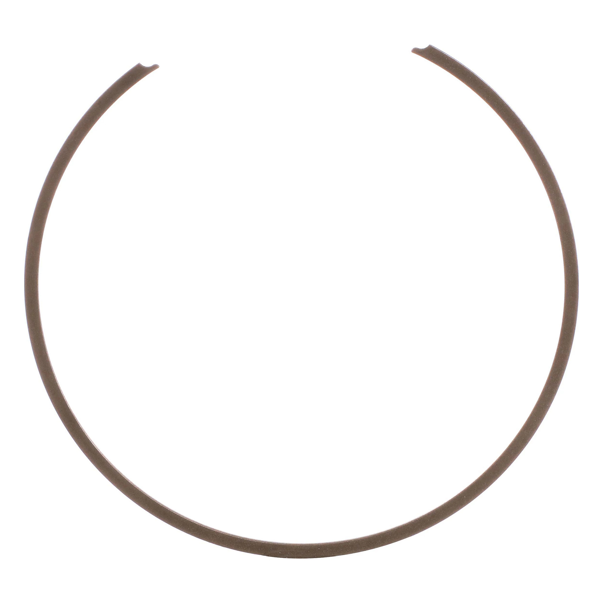 SNAP RING | FLEXICOIL | AMEA | EN