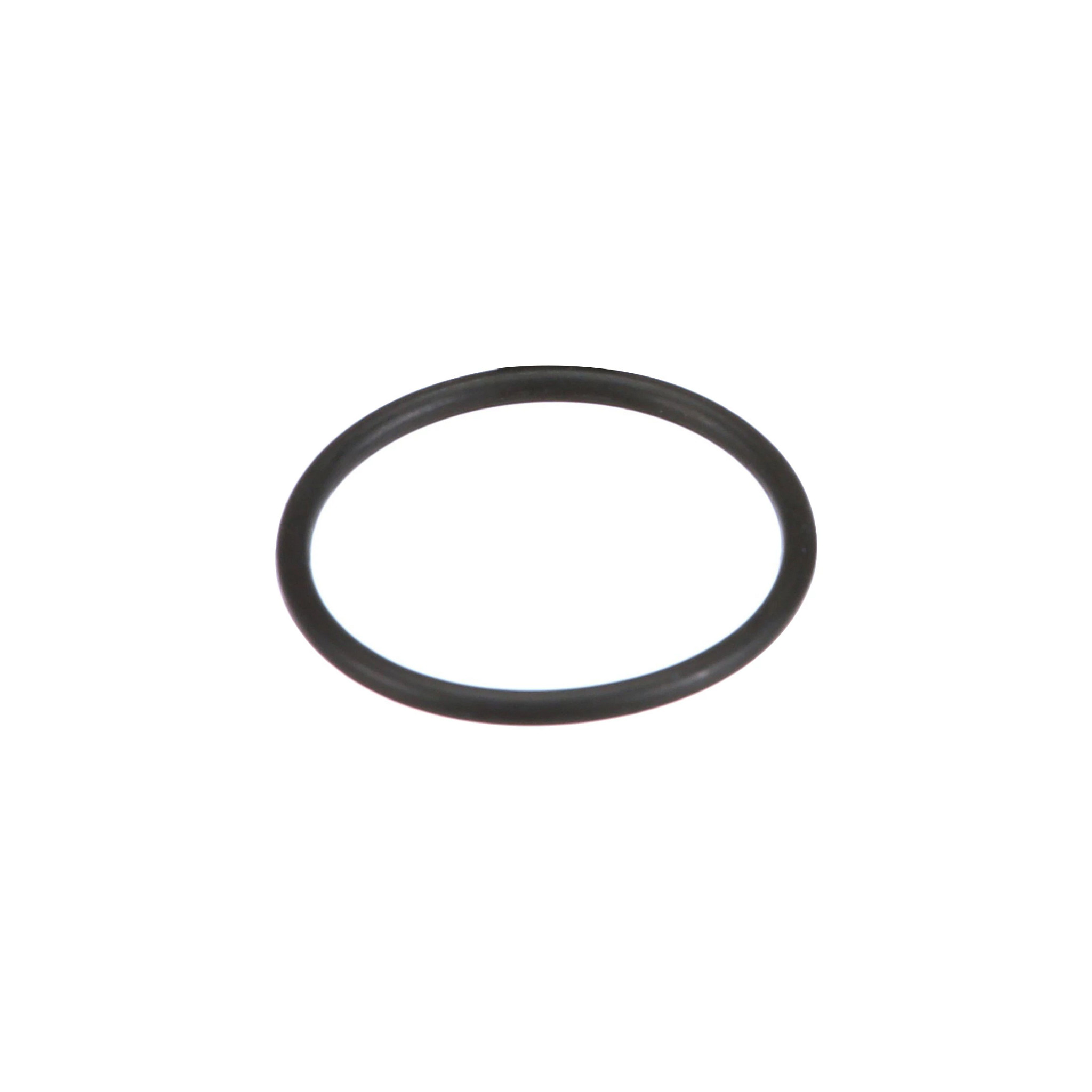 ANELLO TOROIDALE | CASEIH | IT | IT