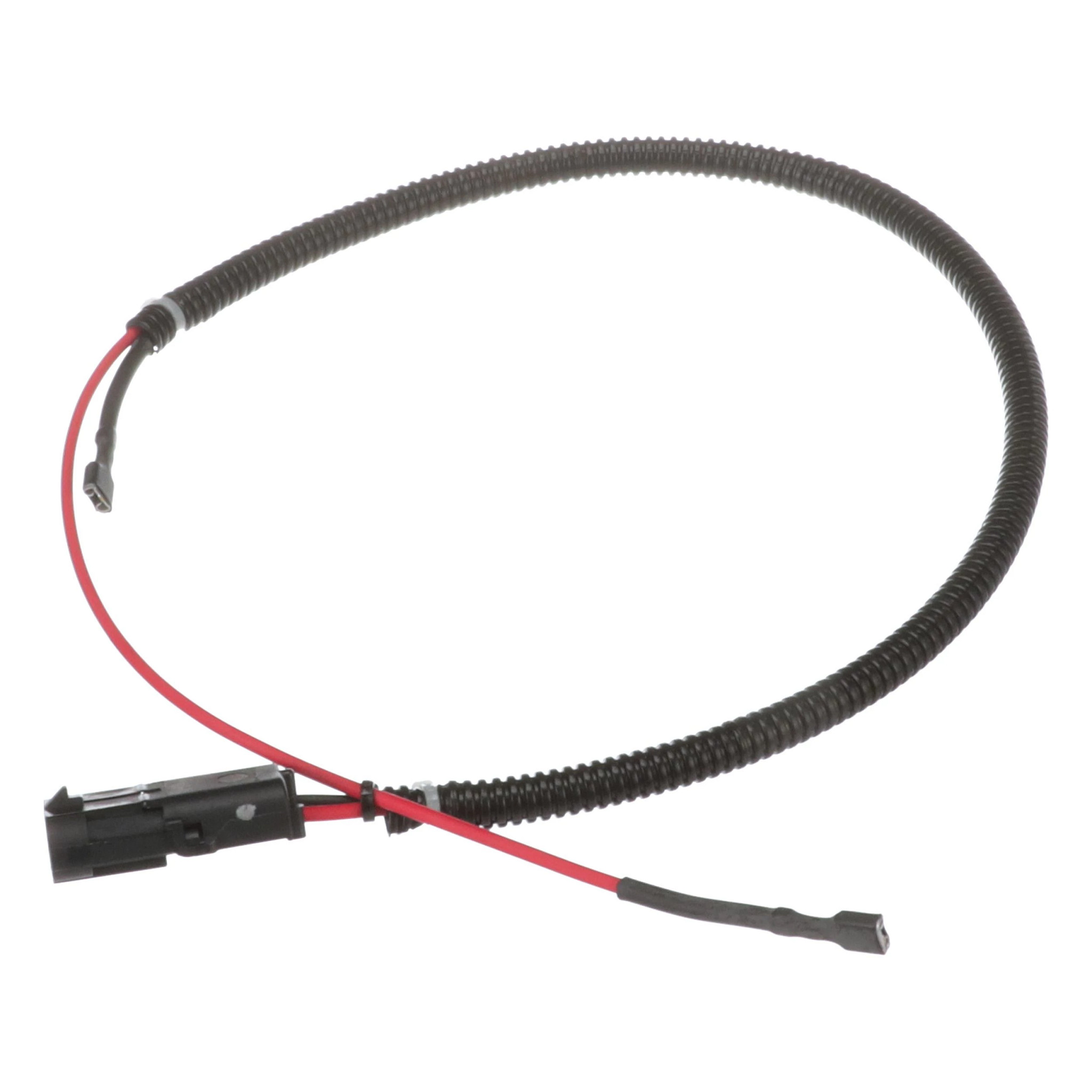 HARNESS | CASECE | CA | EN
