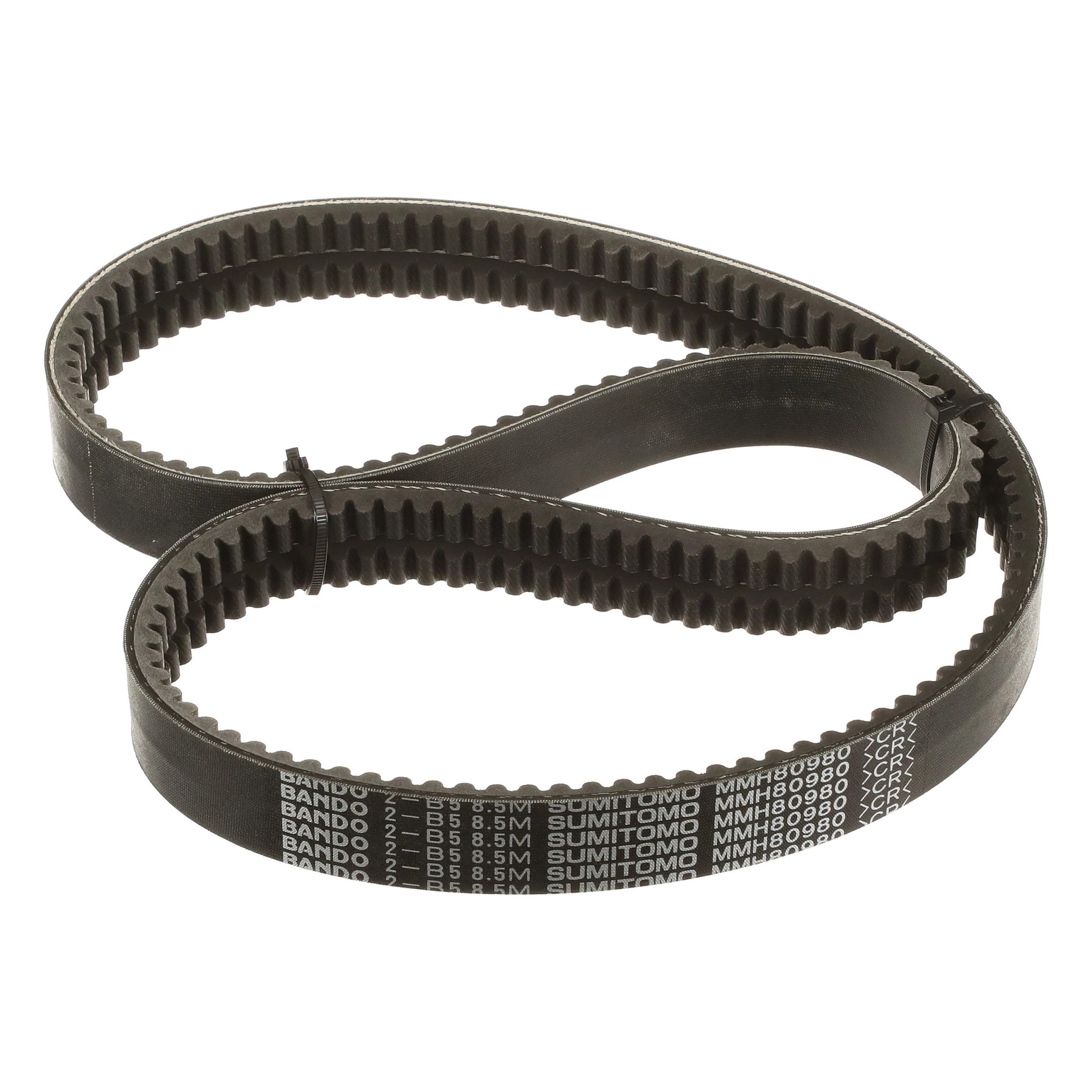 BELT | CASECE | US | EN