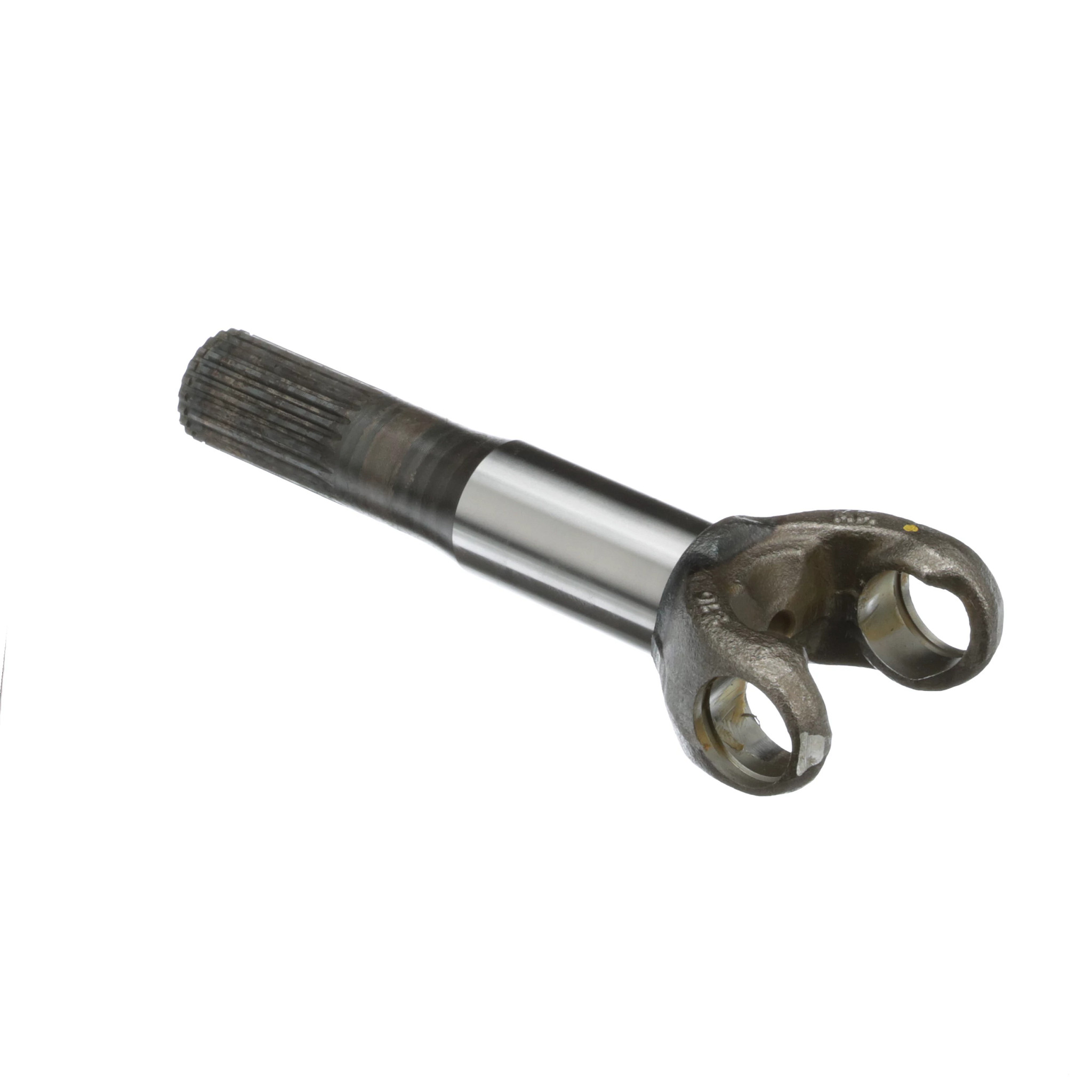 Garfo | CASECE | BR | PT
