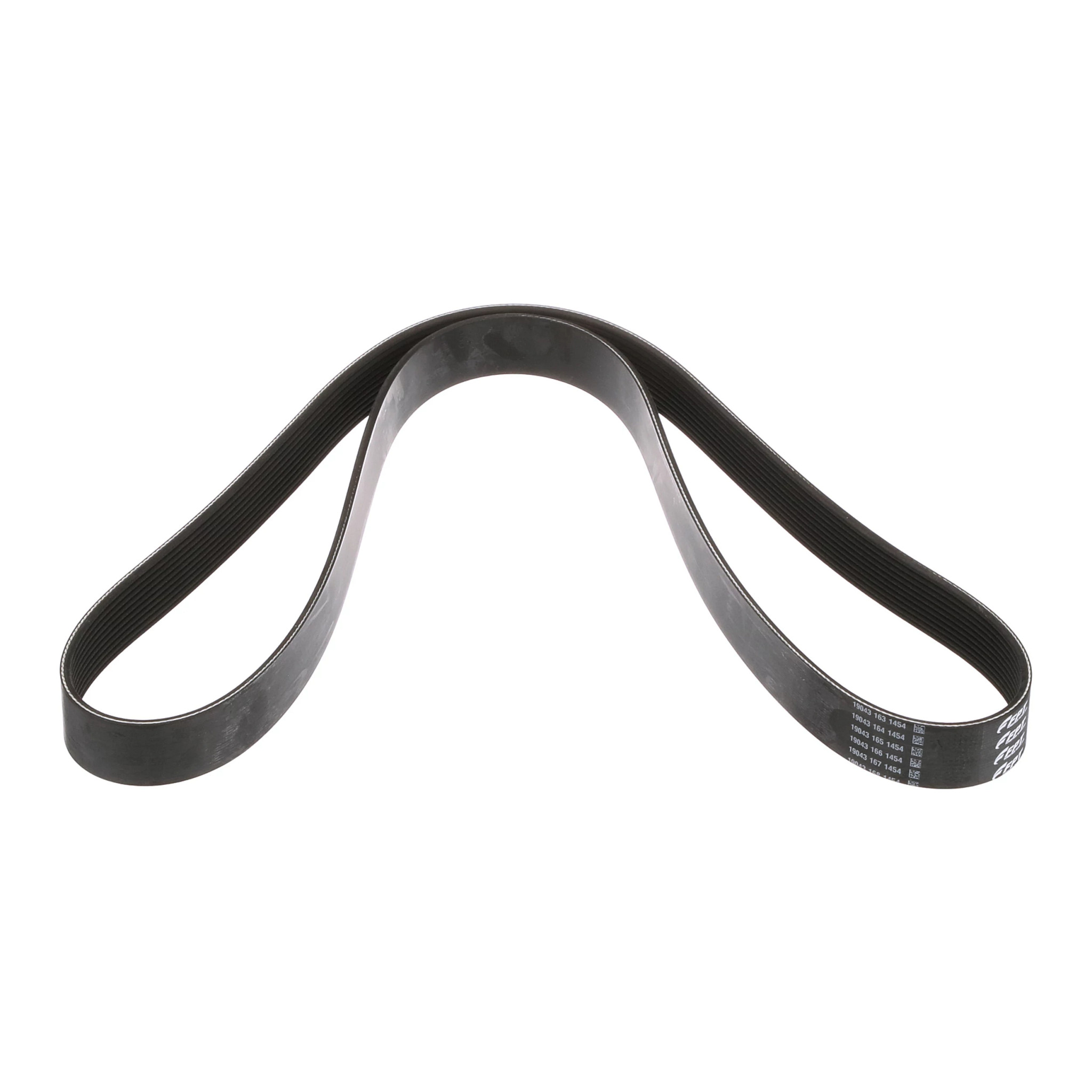 皮带 | CASEIH | AMEA | ZH