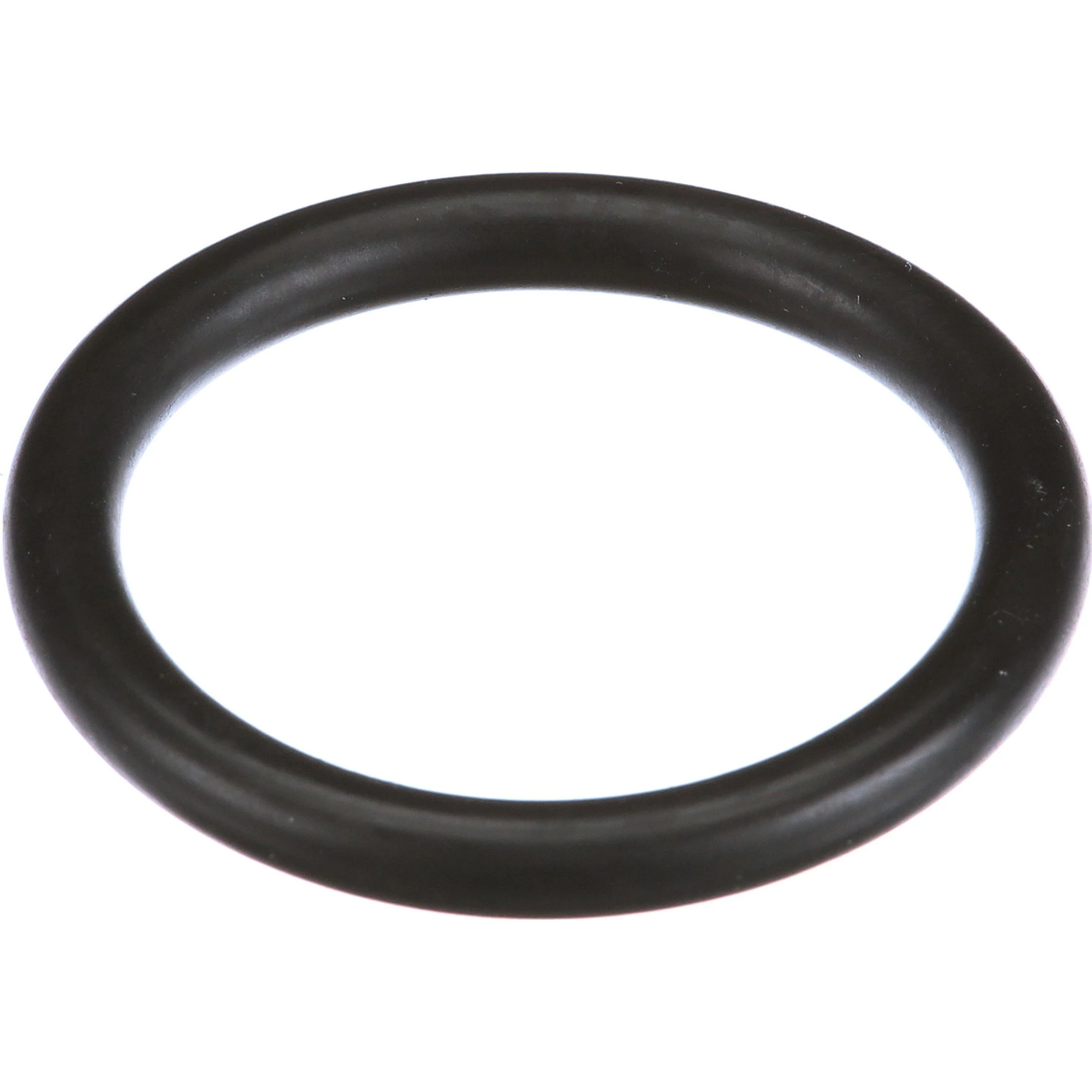 JUNTA TÓRICA | CASECE | EU | ES