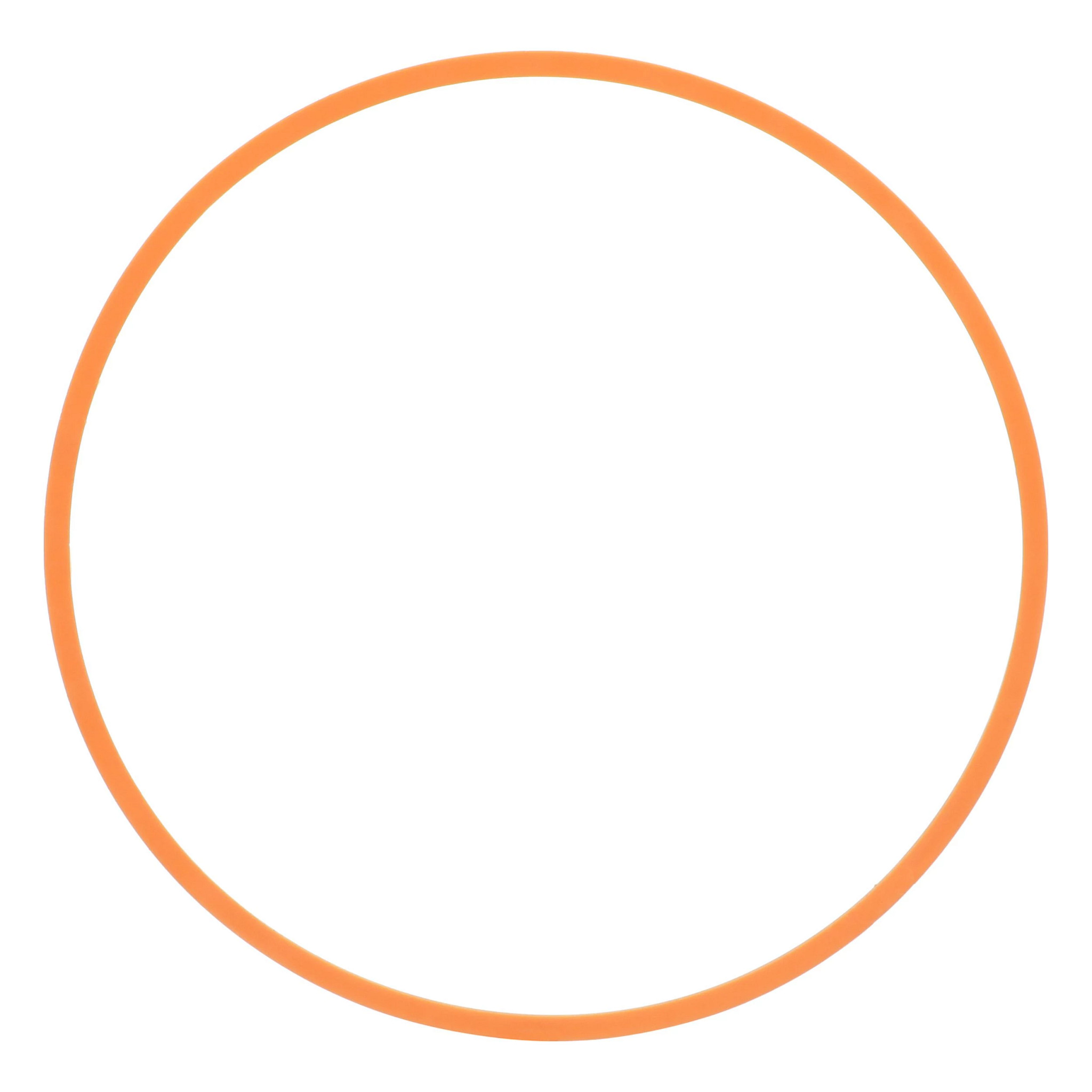 PIERSCIEN USZCZELN | STEYR | EU | PL