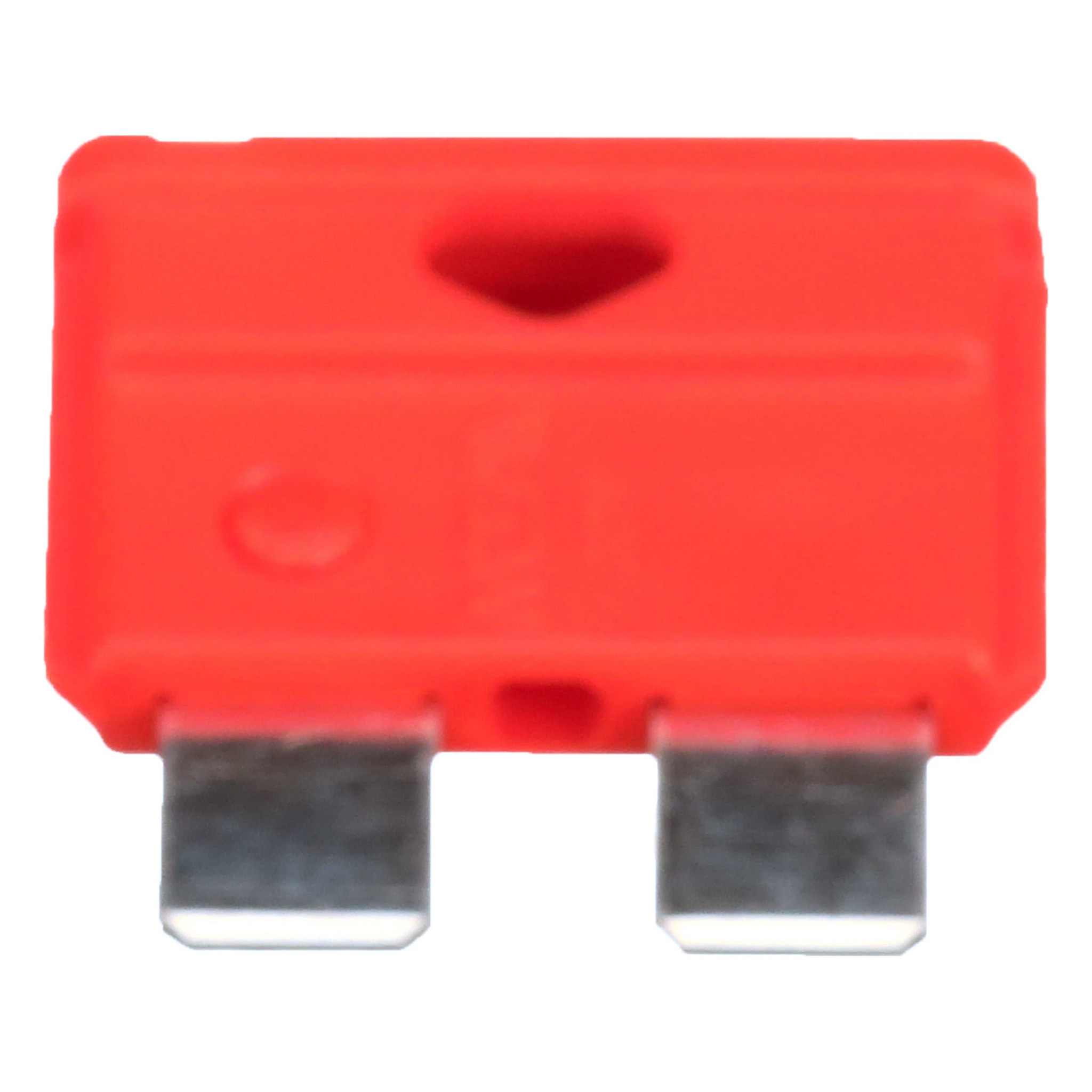 FUSE | CASECE | US | EN