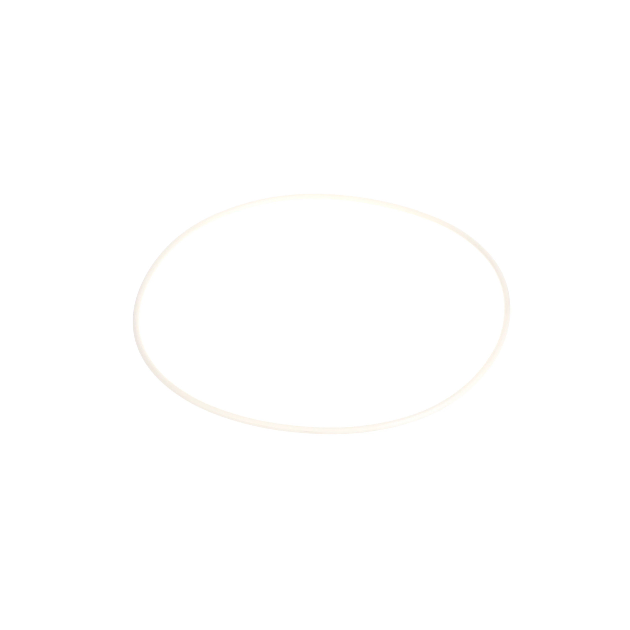 O-RING | NEWHOLLANDAG | BR | PT