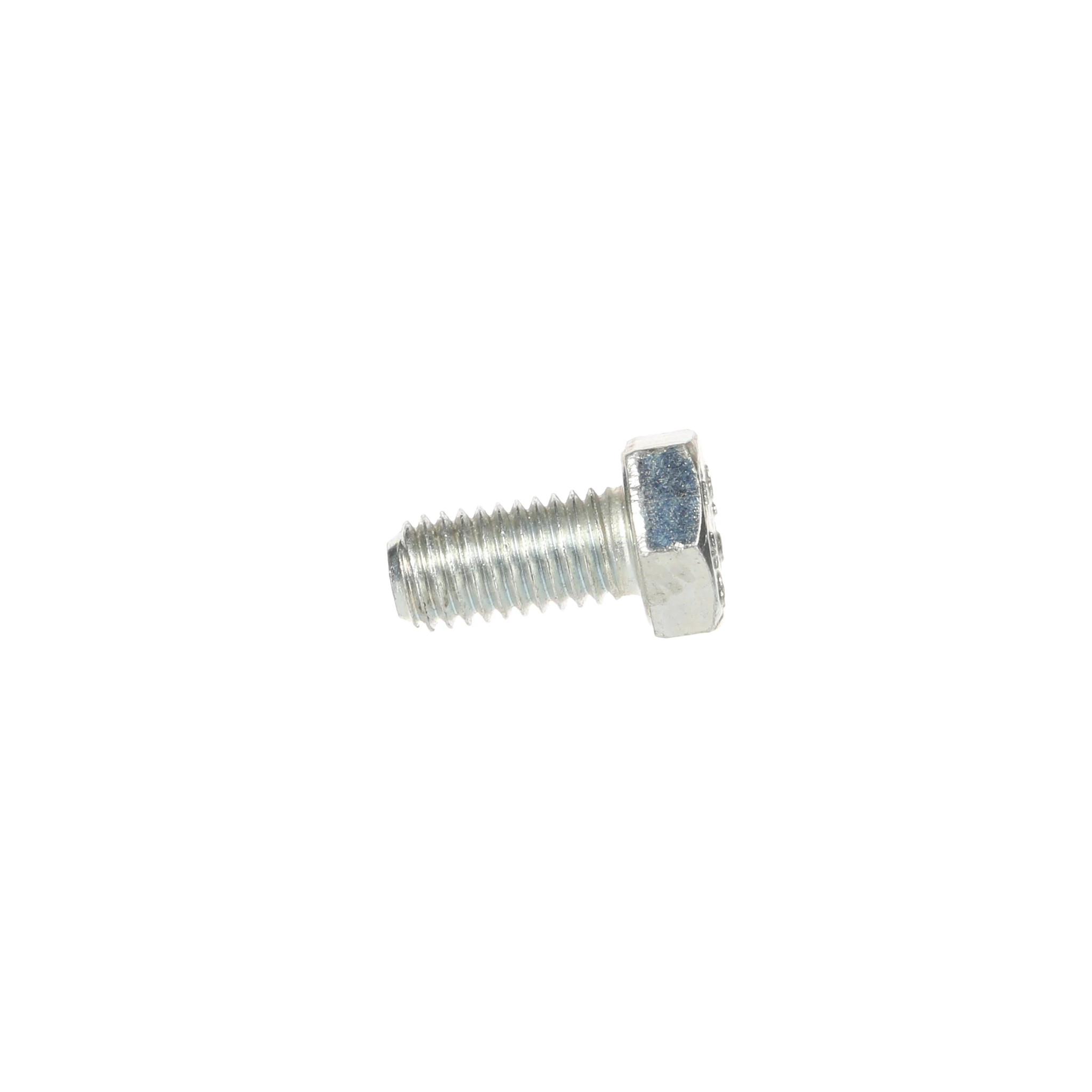 Bolt | CASECE | BR | PT