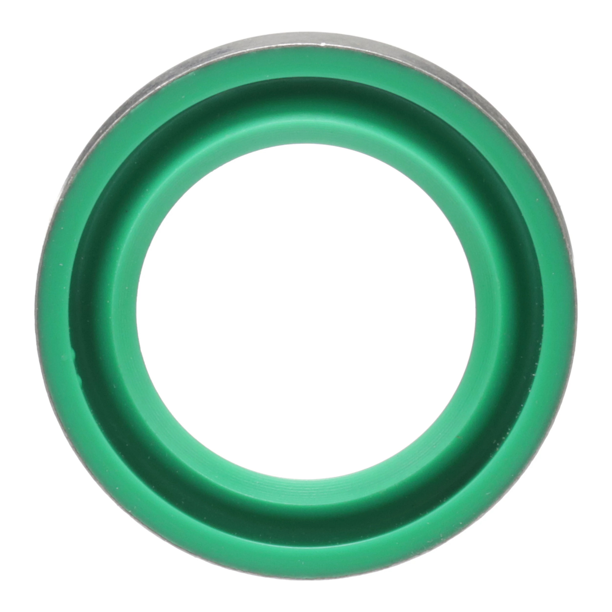 WIPER SEAL | CASECE | CA | EN