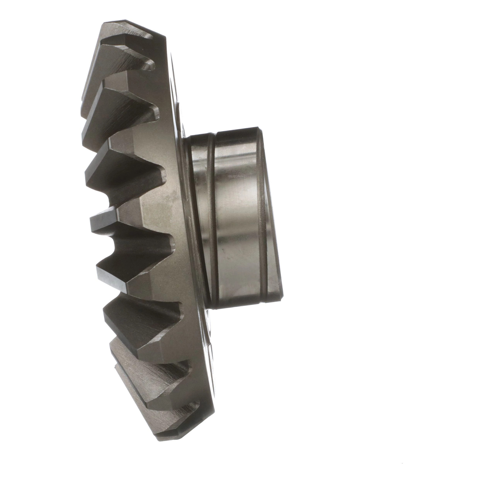 PIGNON PLANETAIRE | CASECE | CA | FR