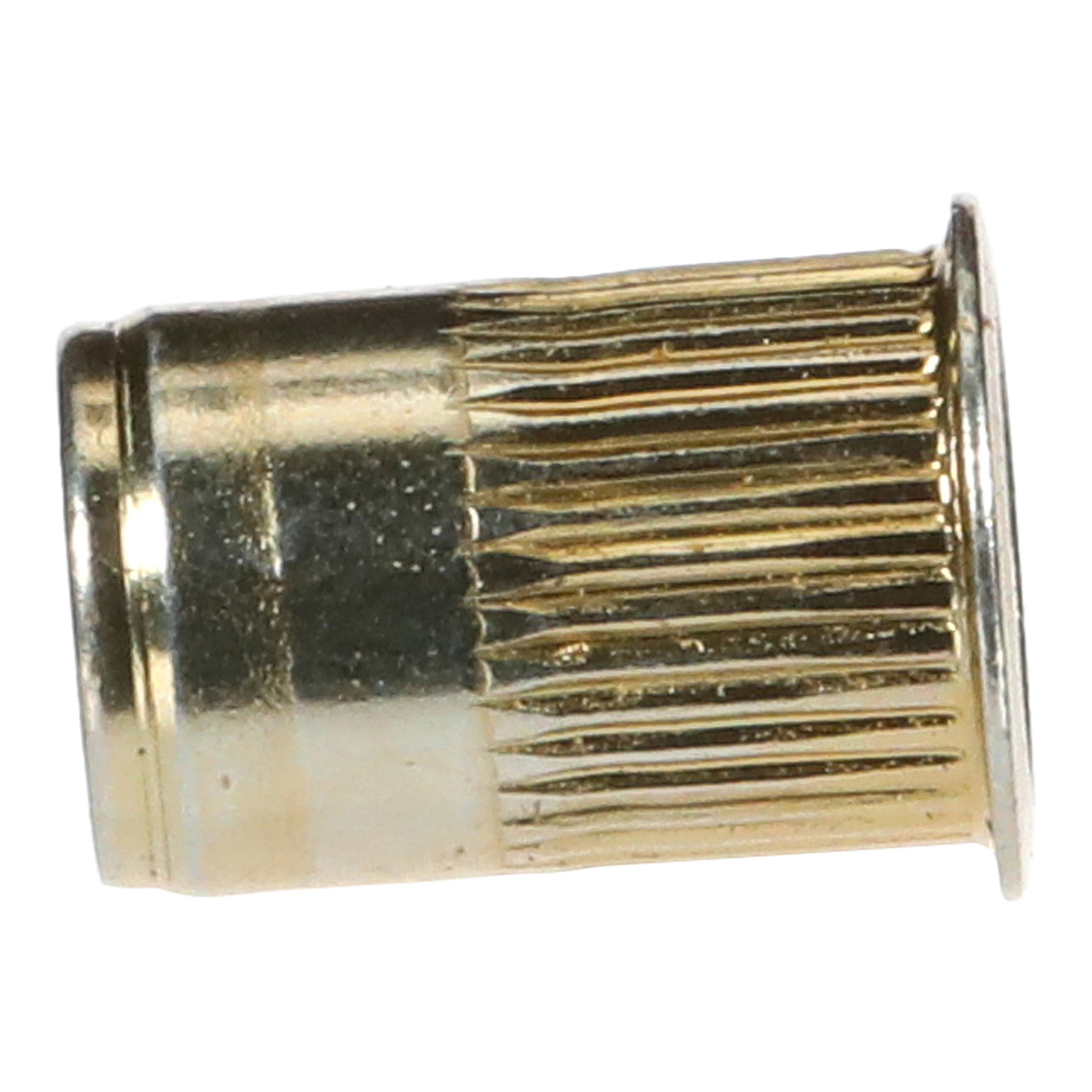 INSERT | CASECE | NZ | EN