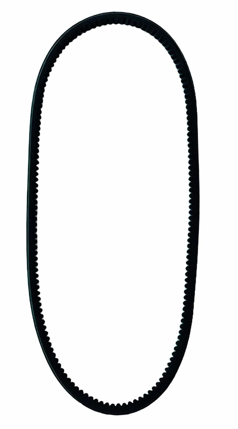 BELT | CASECE | CA | EN