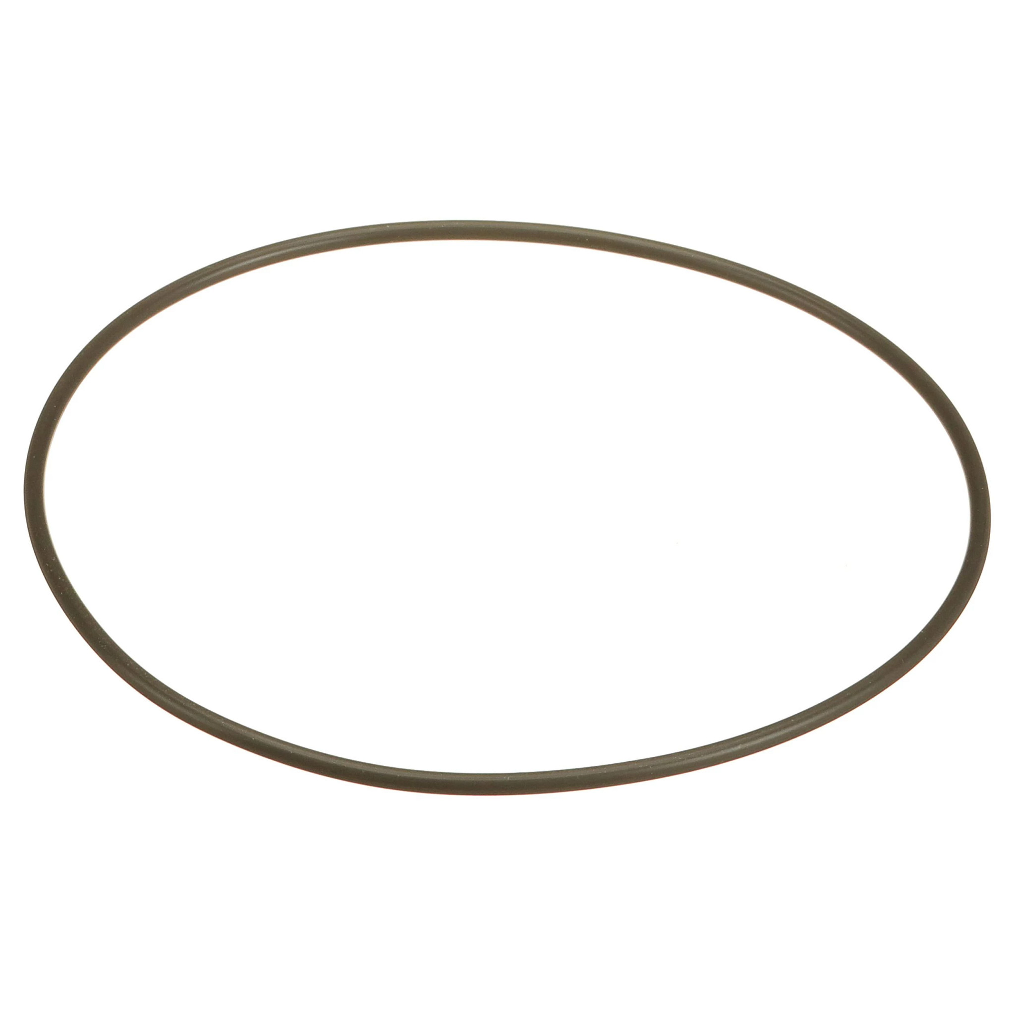 SEALING RING | CASEIH | SA | EN