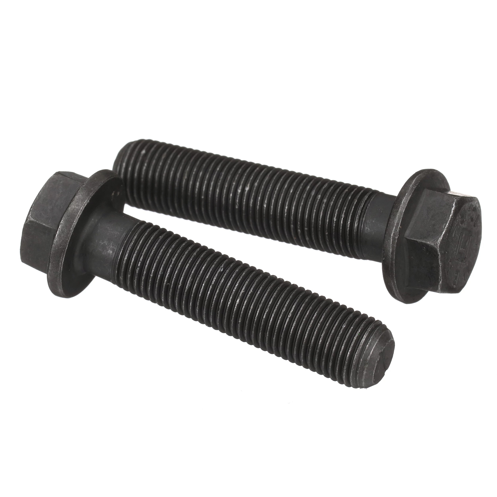 Screw | CASECE | BR | PT