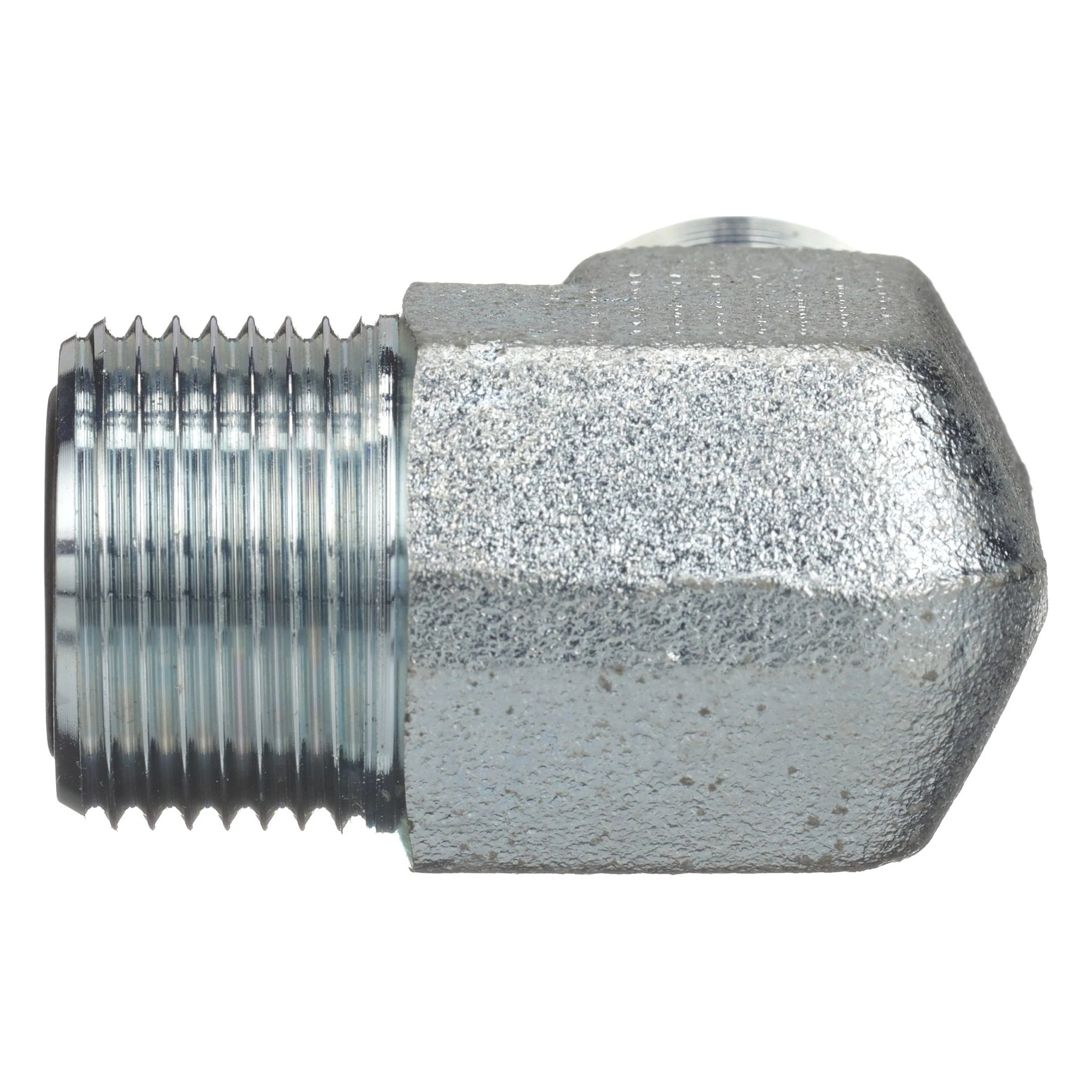 GOMITO | CASECE | EU | IT