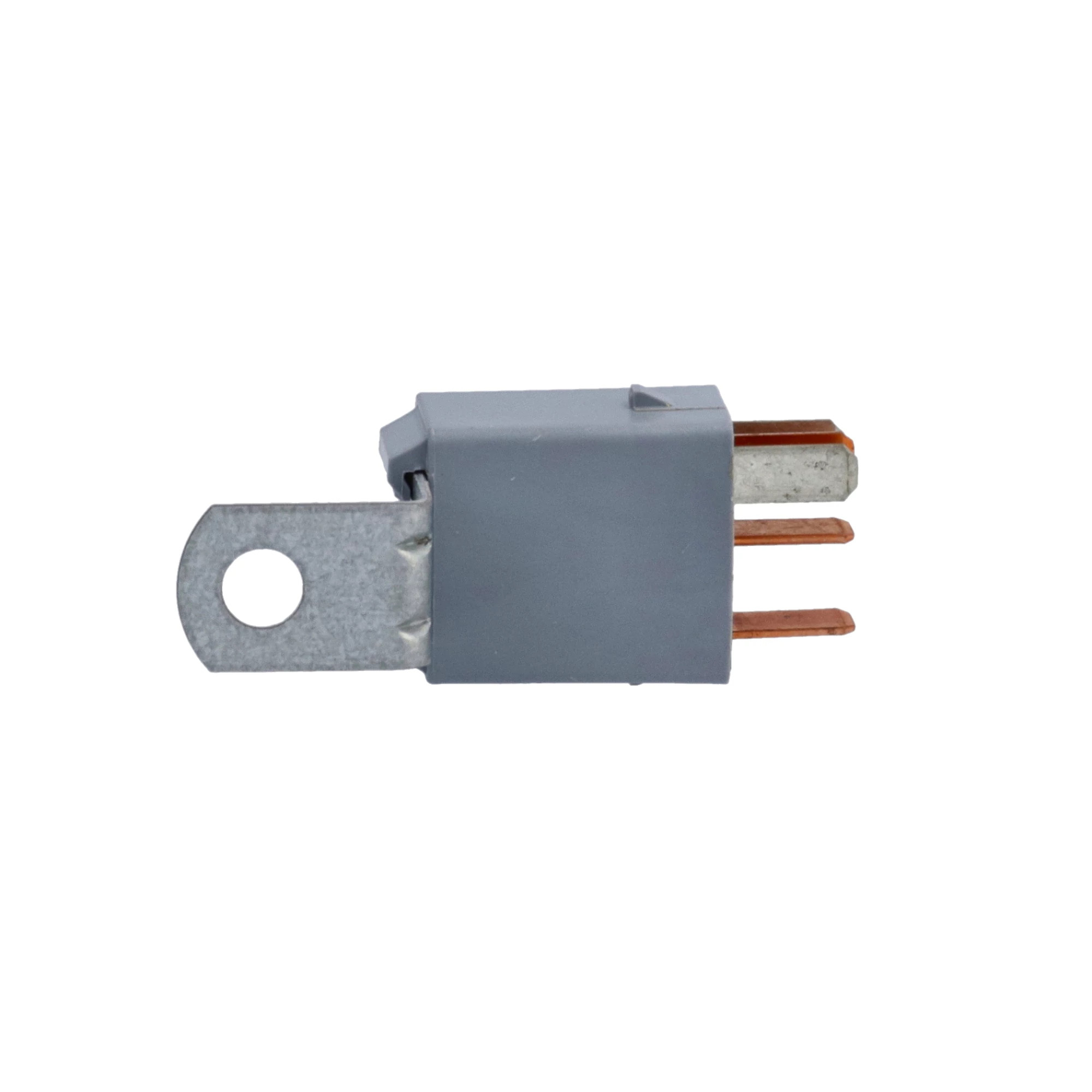 RELÉ | CASECE | EU | ES