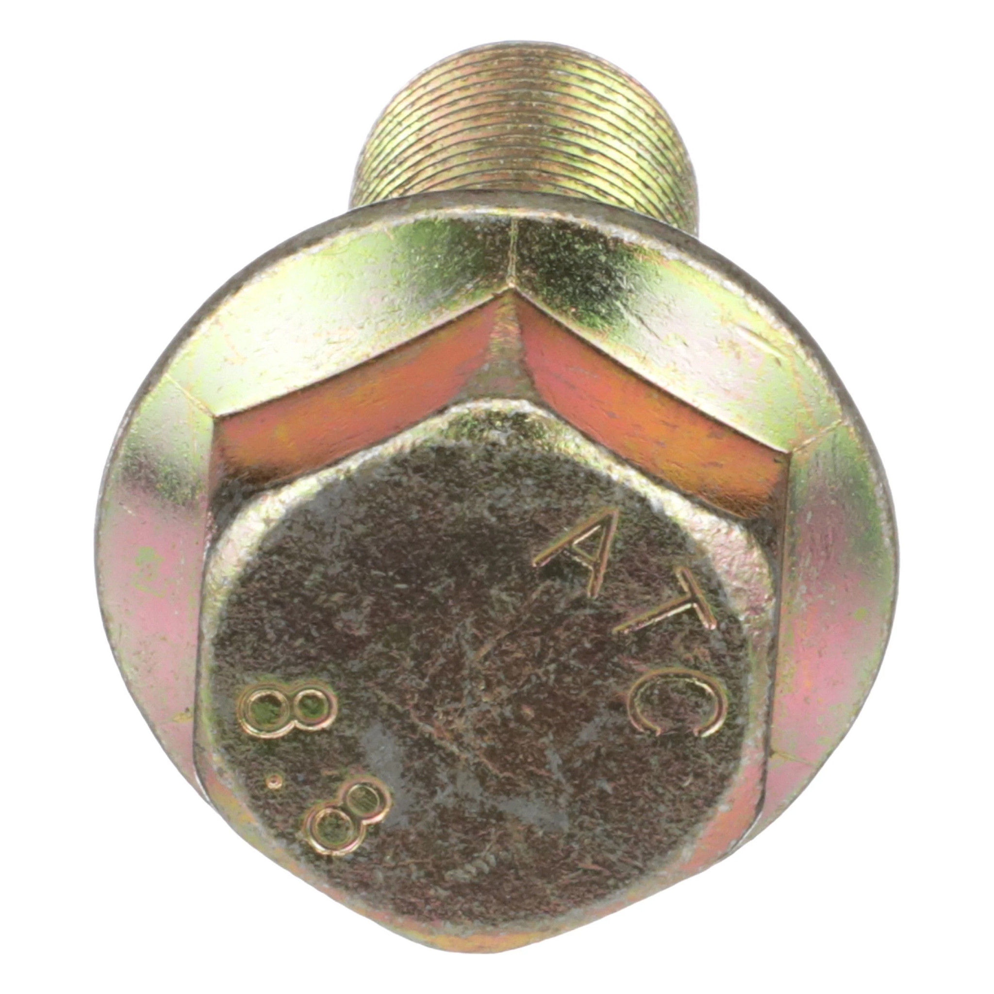 BOLT | CASECE | AMEA | EN