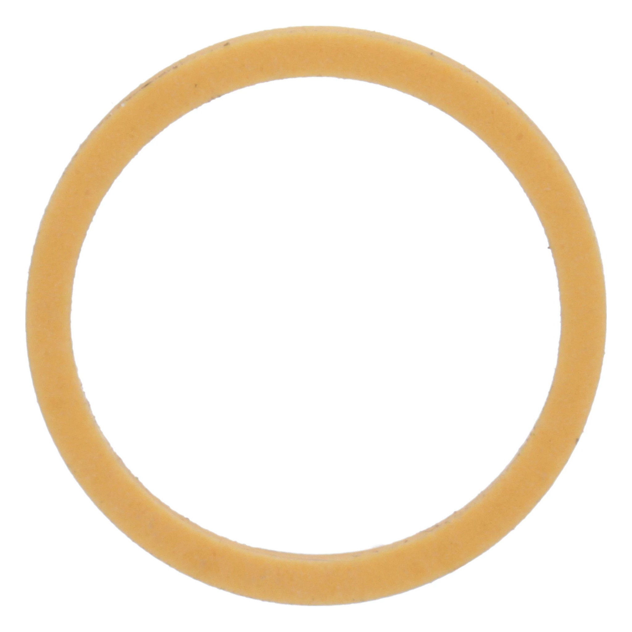 BACK-UP RING | NEWHOLLANDAG | AMEA | EN