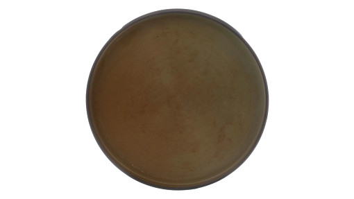 CAP | STEYR | EU | EN