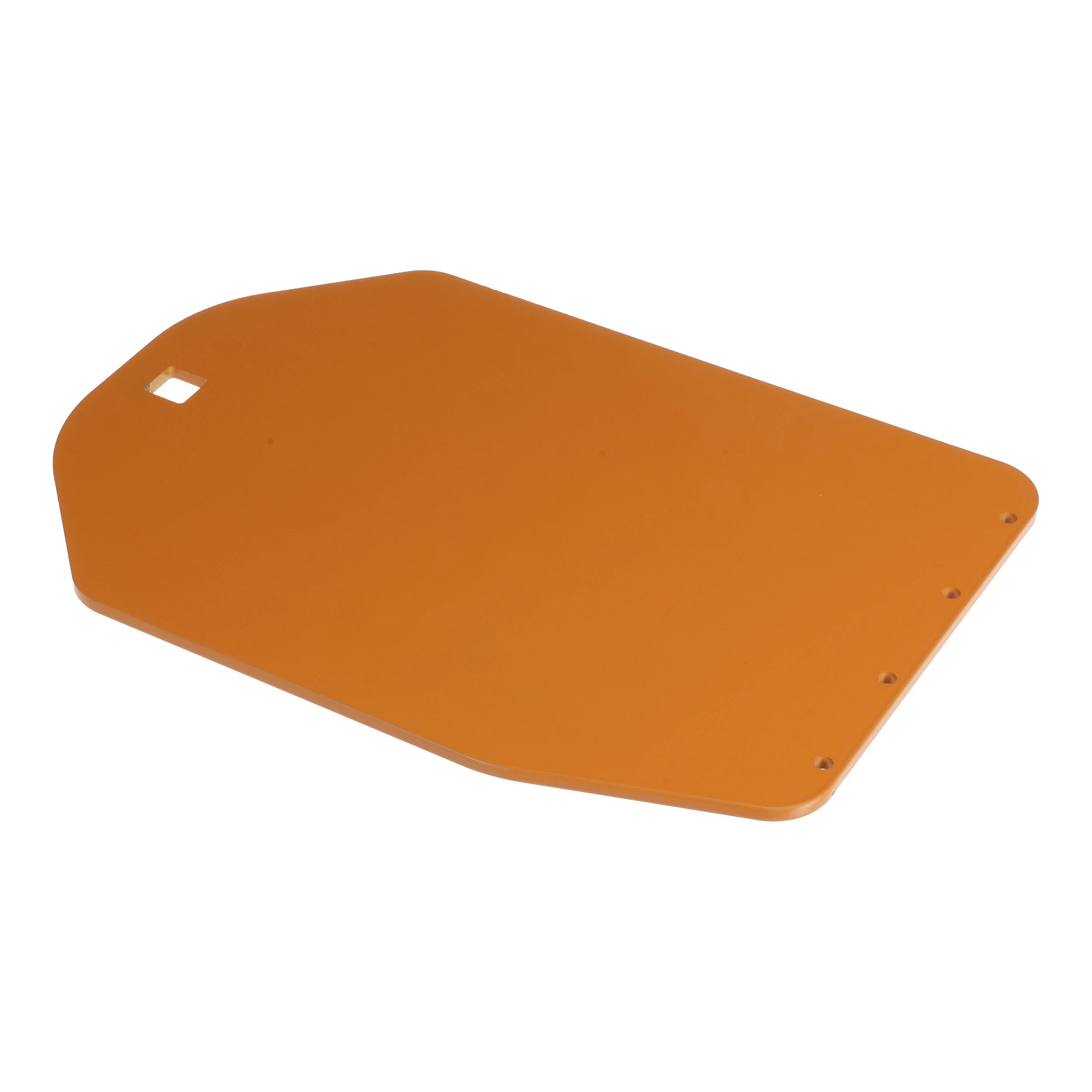 COVER | CASECE | CA | EN