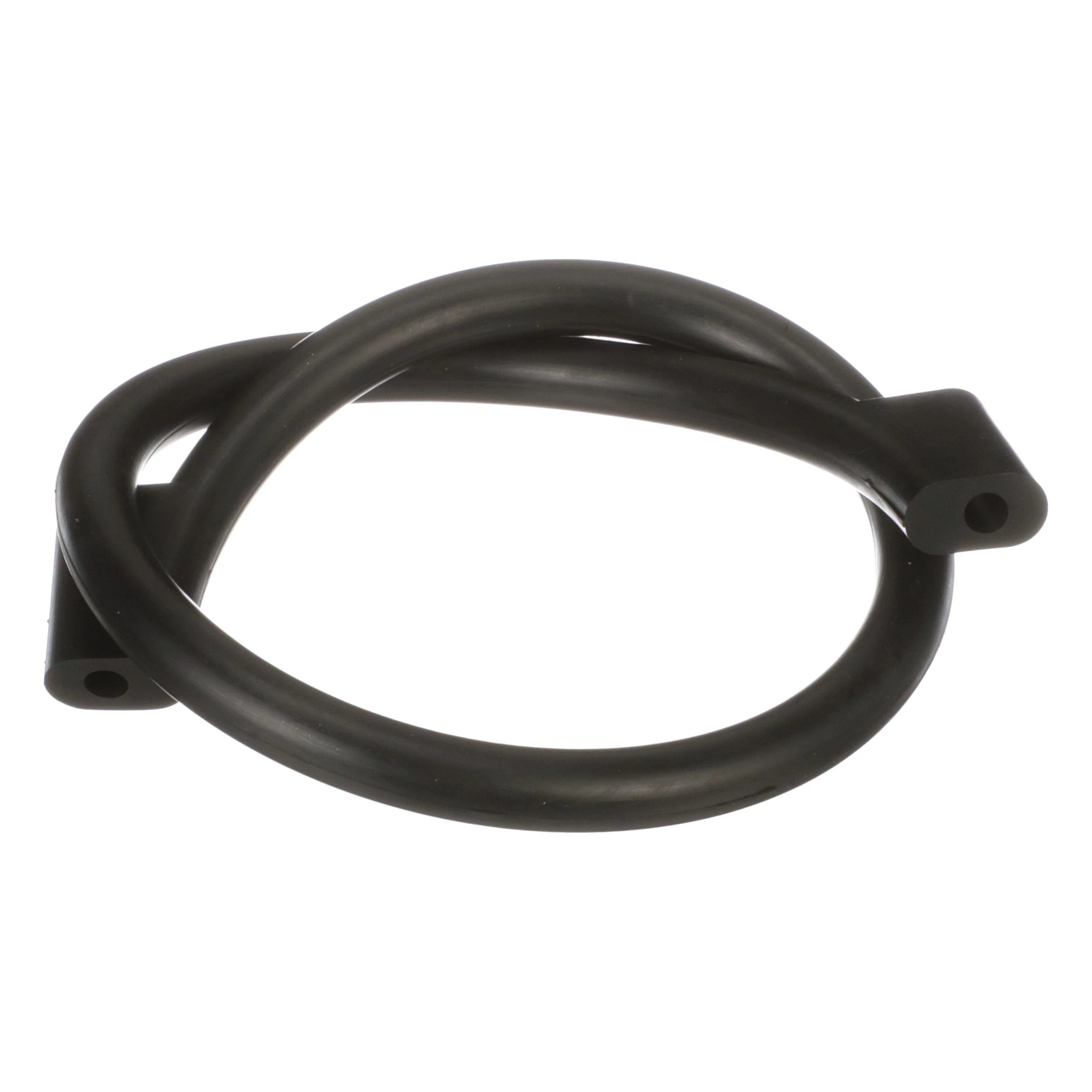 JUNTA TÓRICA | CASECE | EU | ES