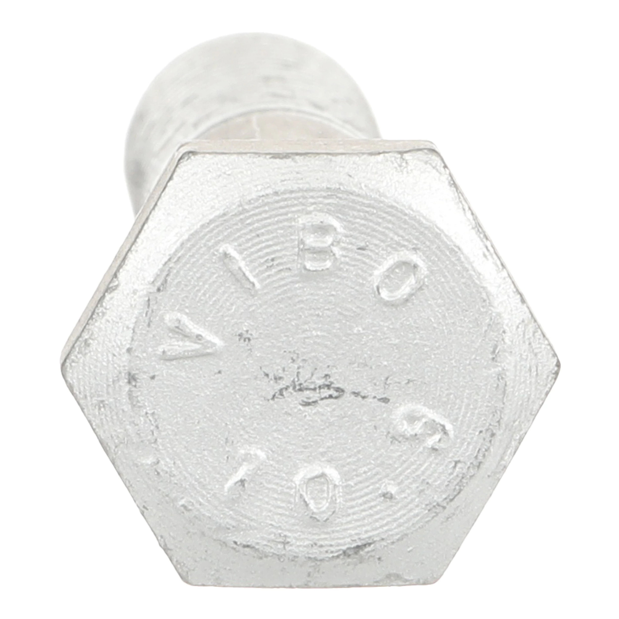 BOLT | CASECE | US | EN