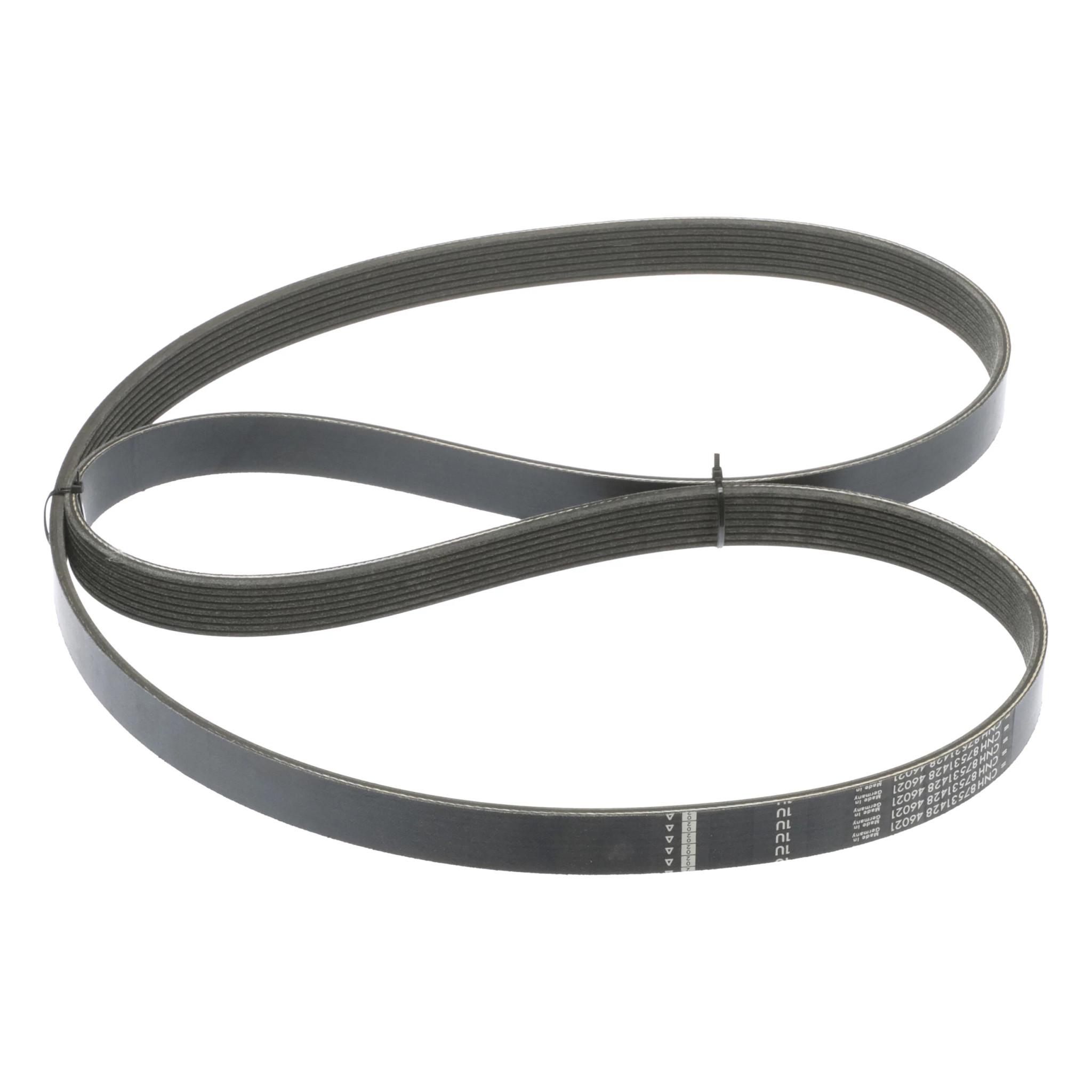 BELT | CASECE | AMEA | EN