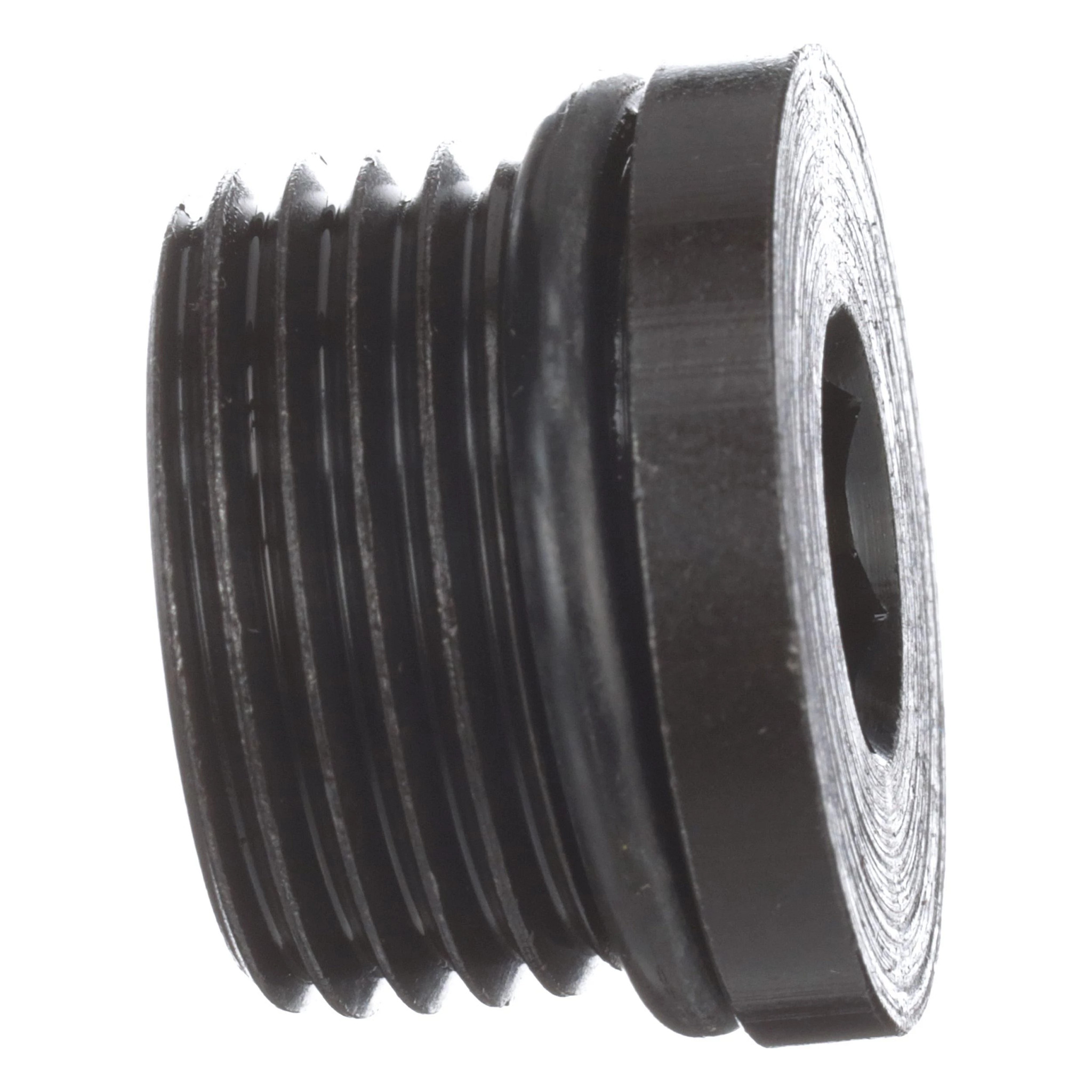 PLUG | CASECE | CA | EN