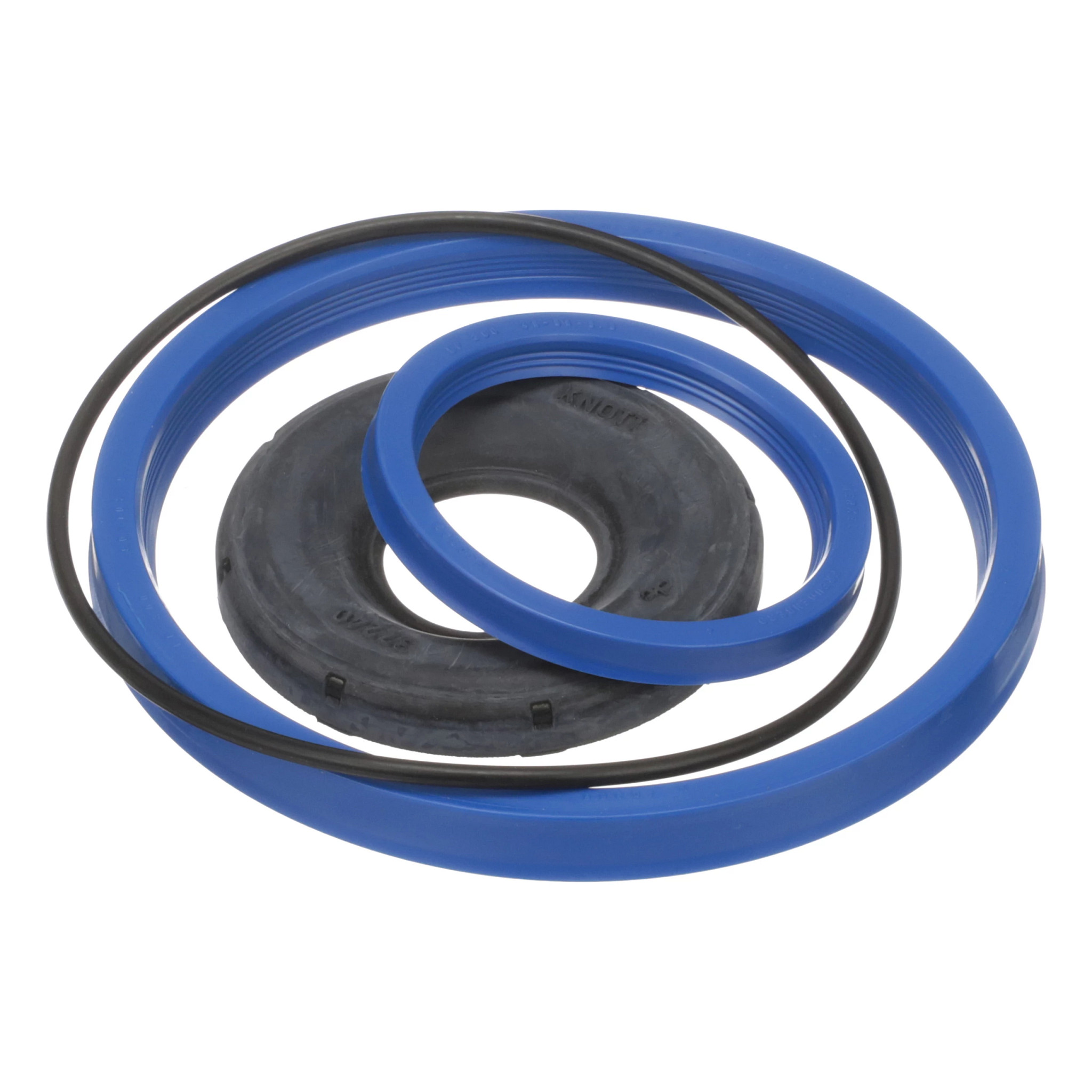 DICHTUNGSSATZ | CASEIH | EU | DE