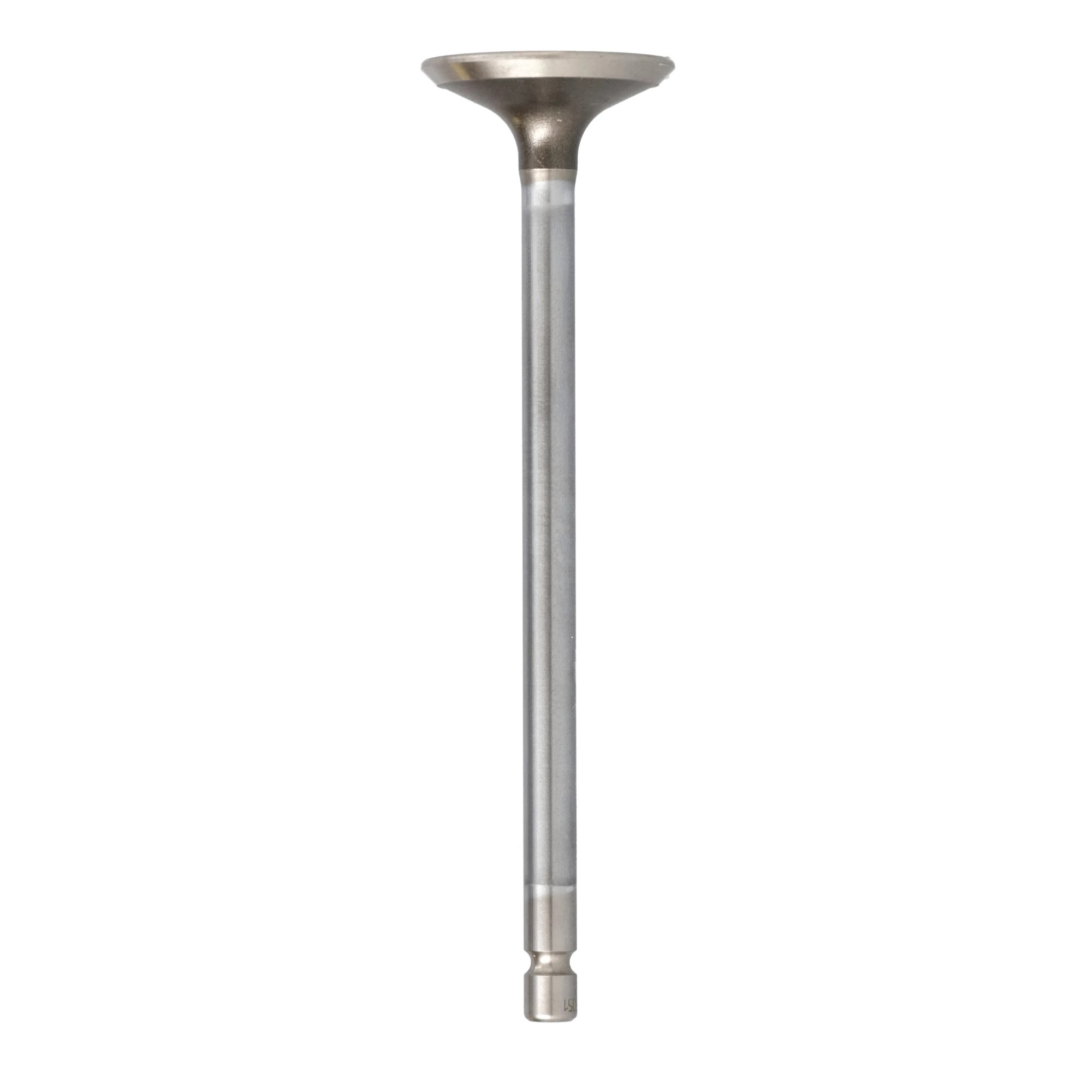 VÁLVULA DE ESCAPE | CASECE | EU | IT