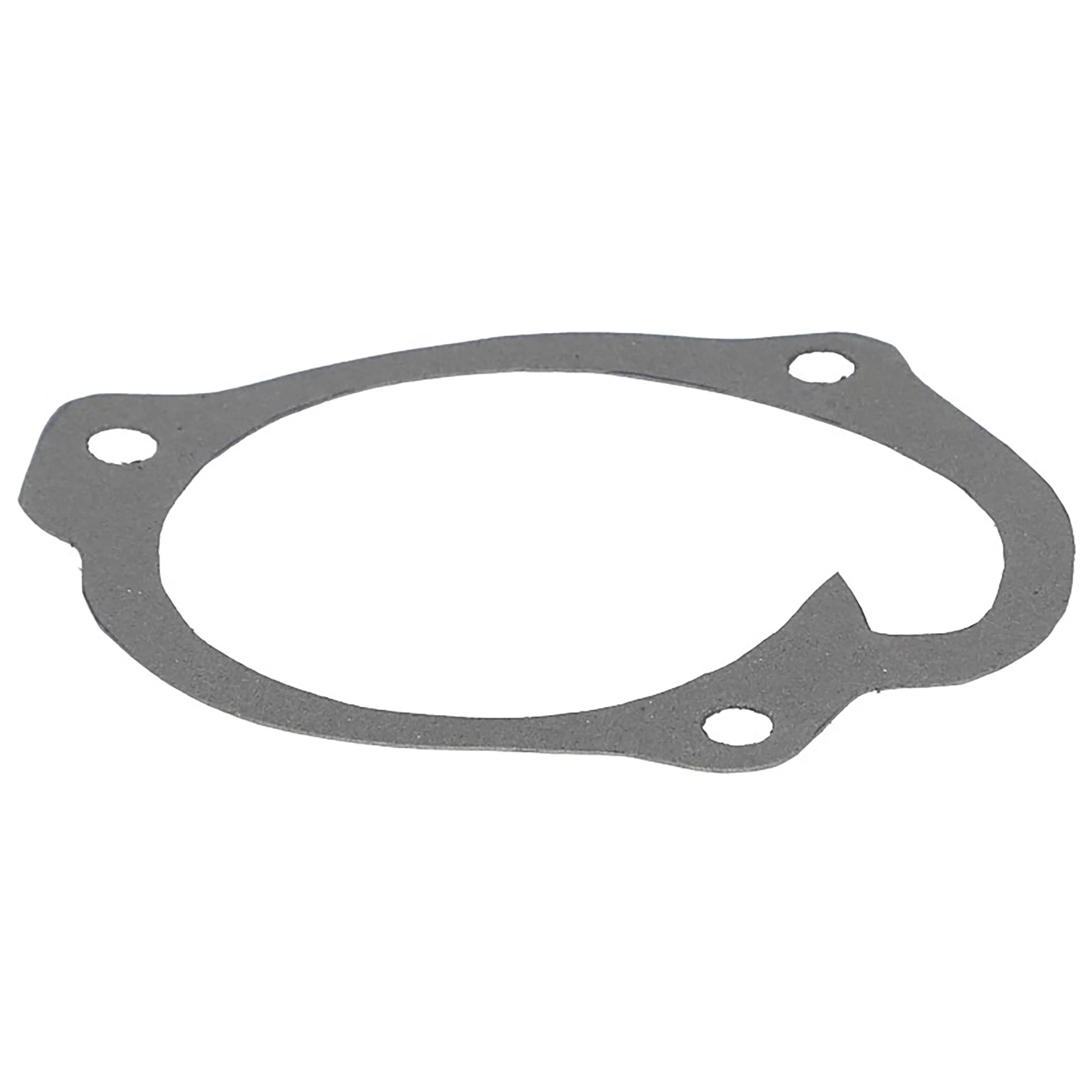Gasket | CASECE | US | EN