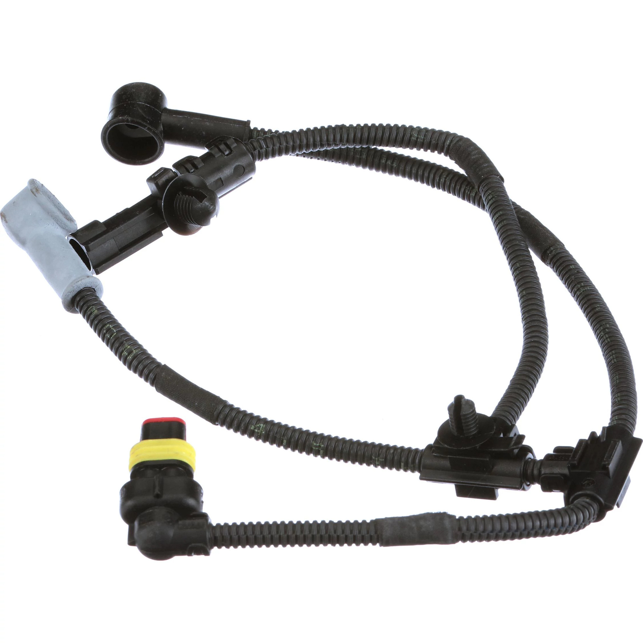 Engine Wire Harness