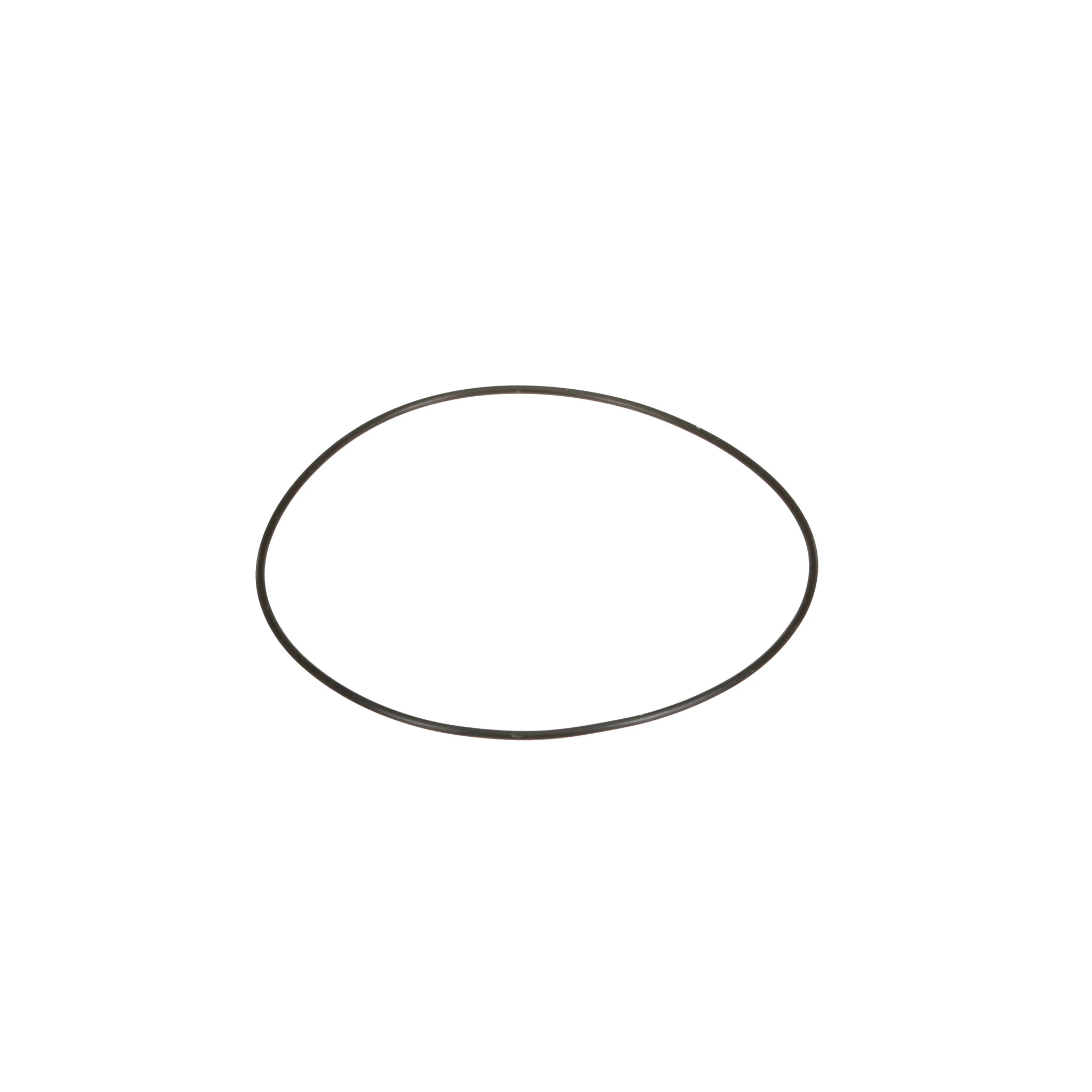 O-RING | CASECE | BR | PT