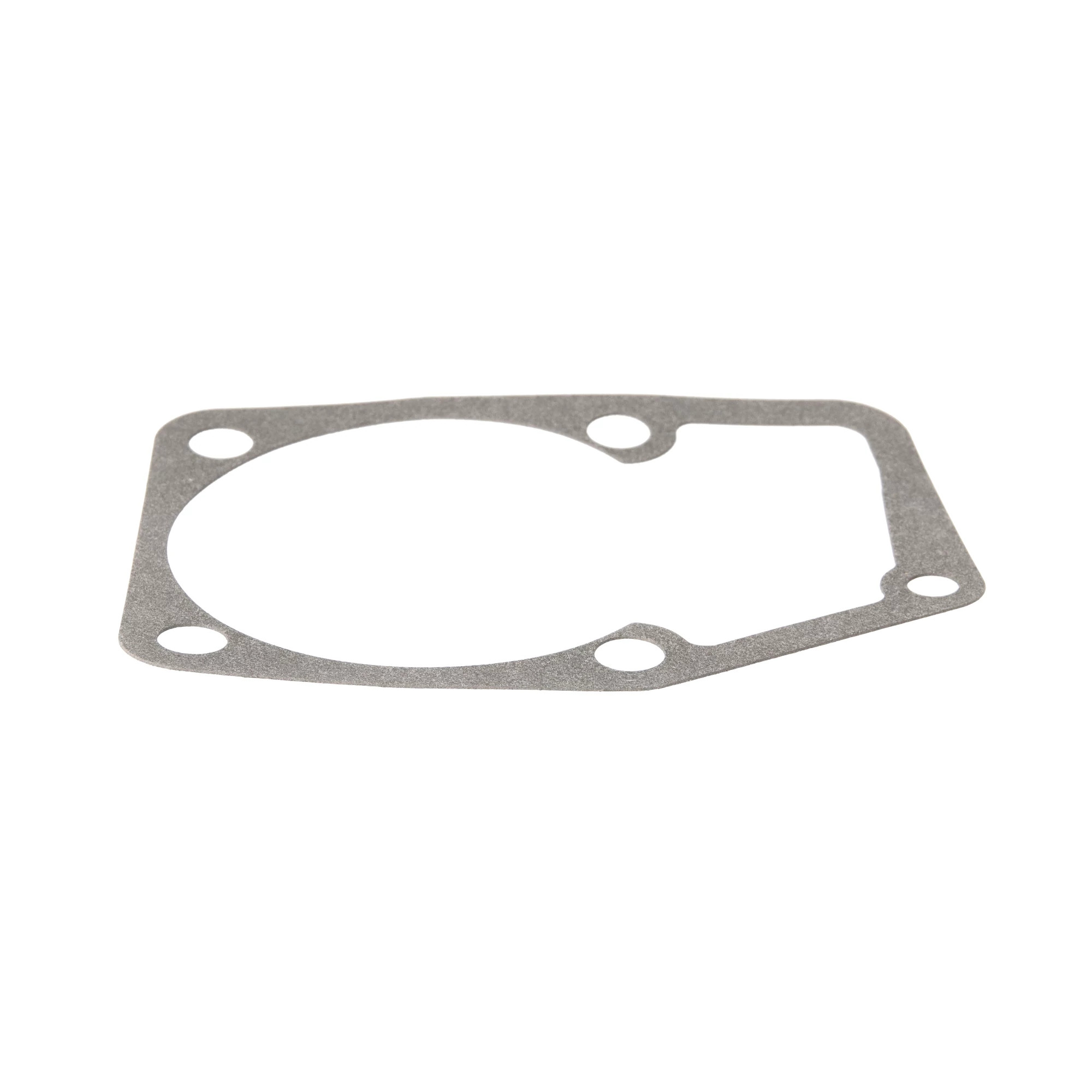 GUARNIZIONE | CASECE | EU | IT