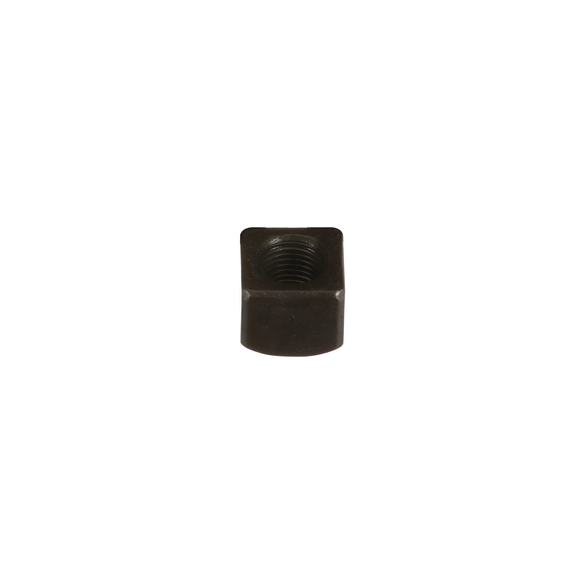 NUT | CASECE | CA | EN