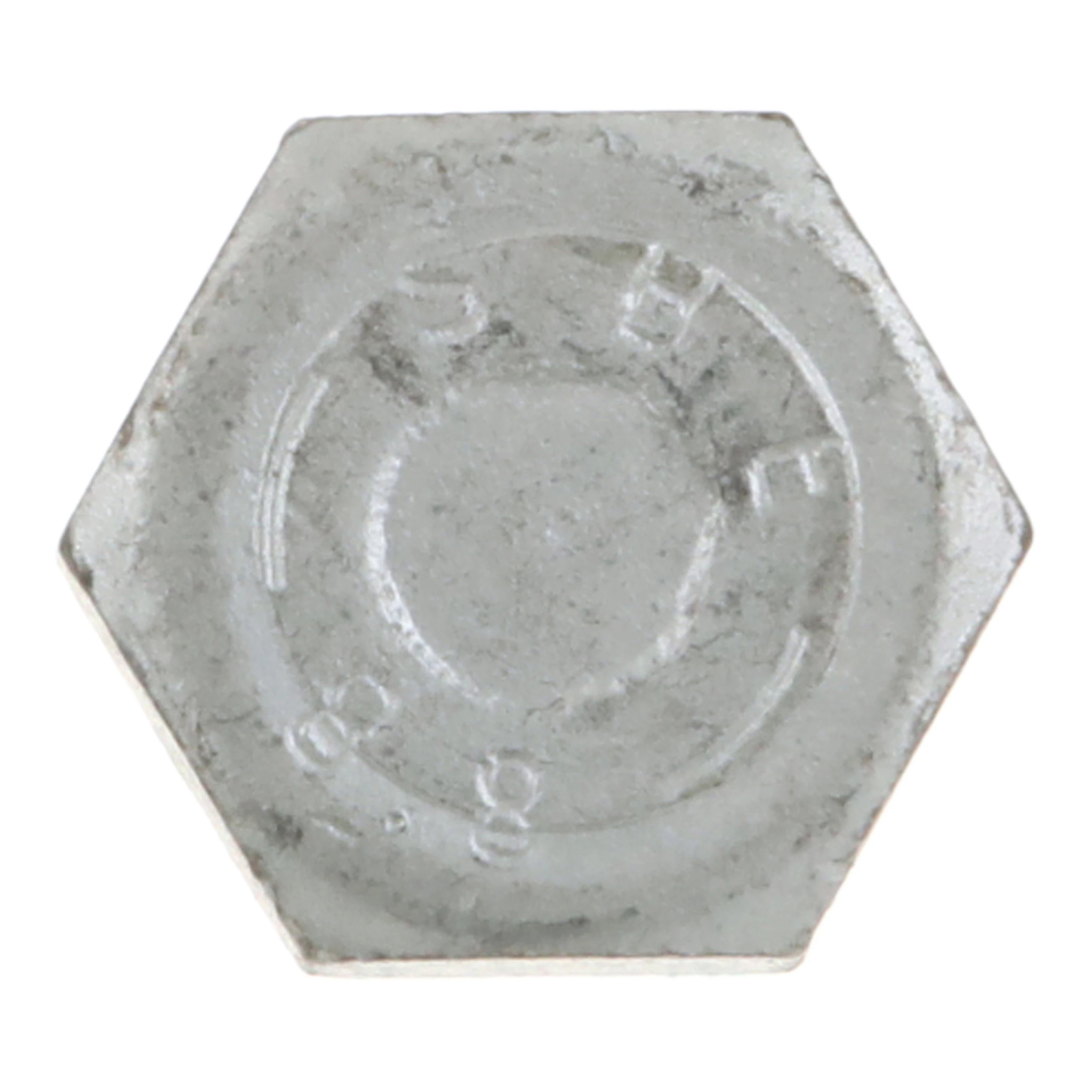 BOLT | CASECE | CA | EN