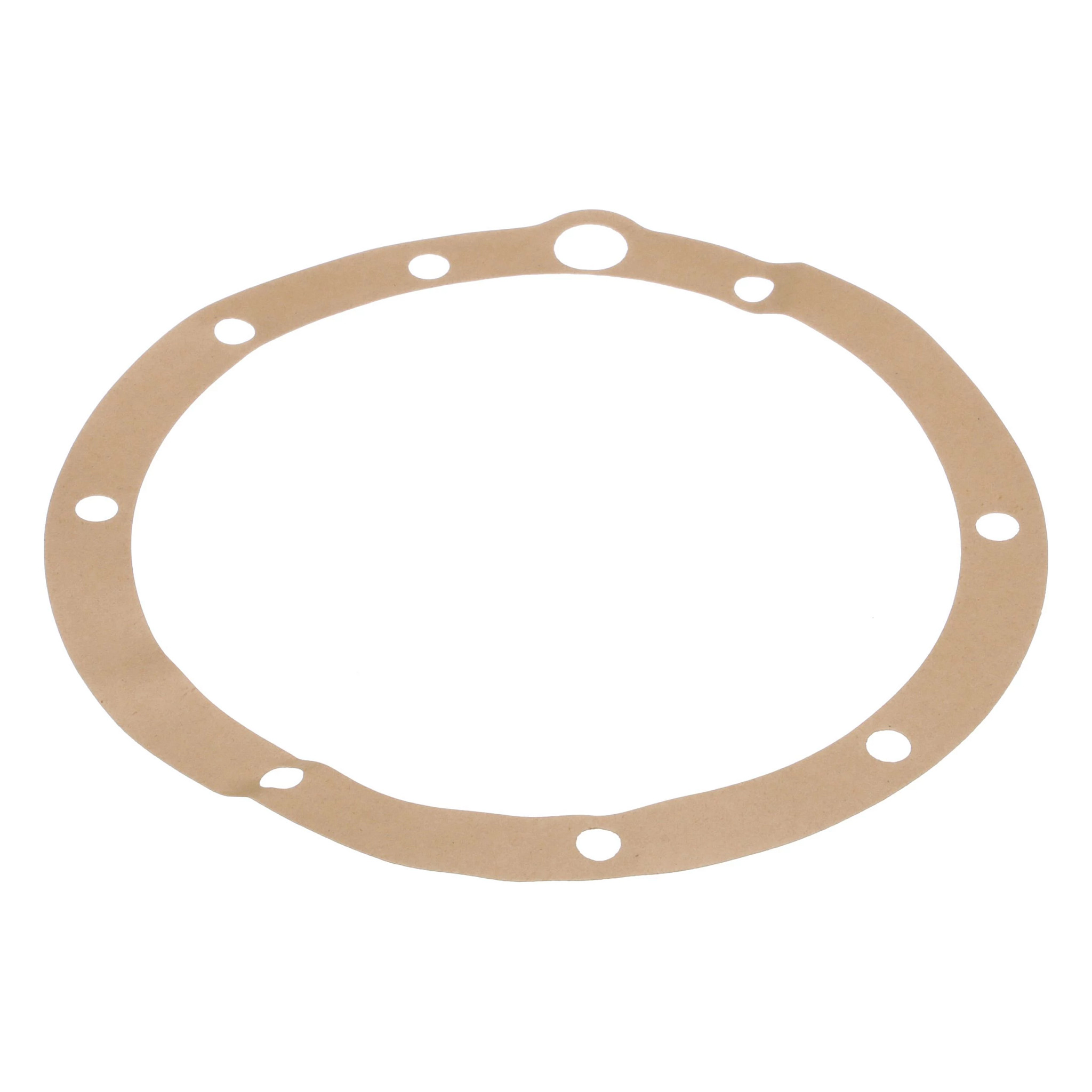 Engine Gasket
