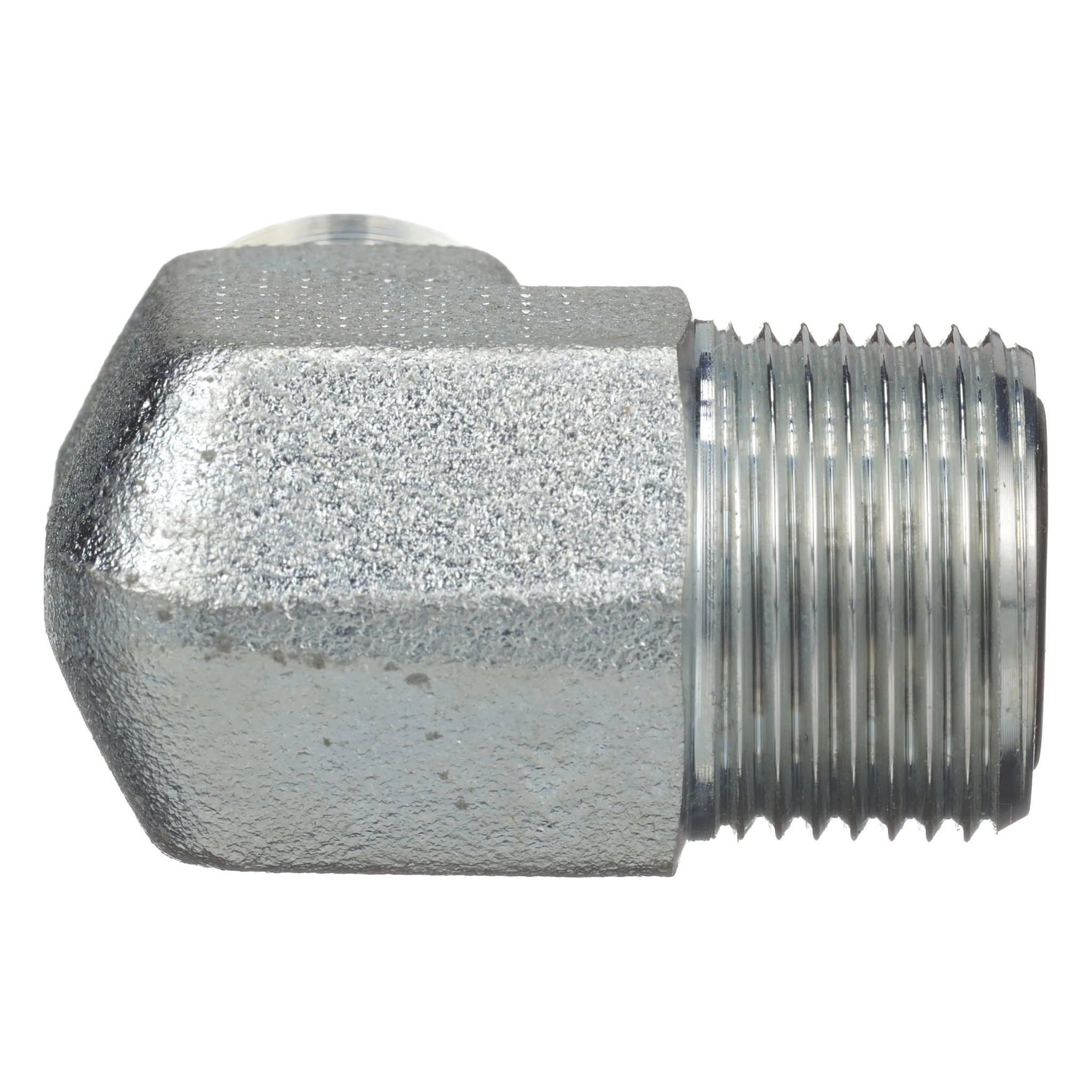 GOMITO | CASECE | EU | IT