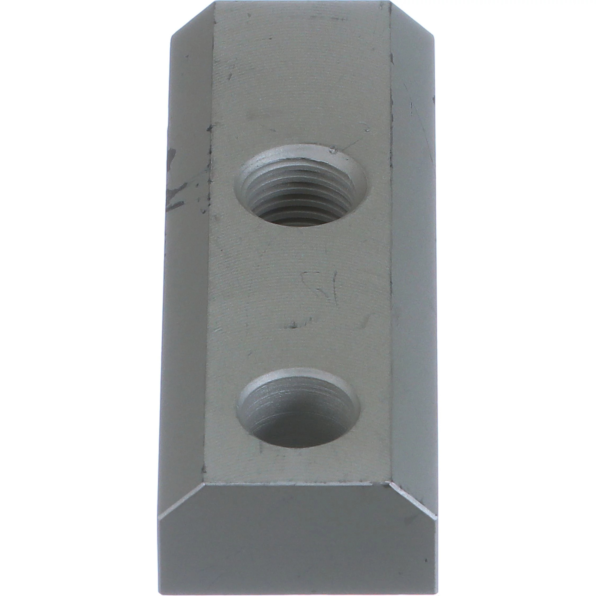 NUT | CASECE | AMEA | EN