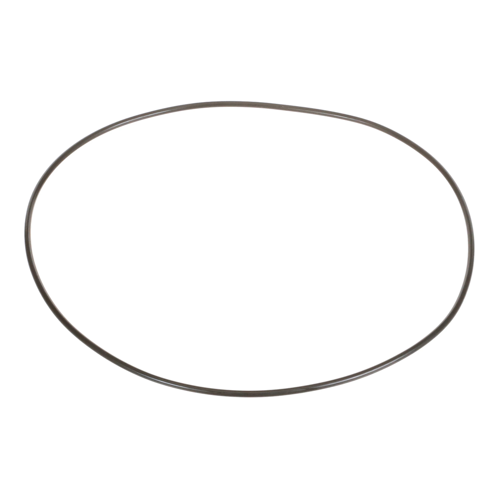 ANELLO TOROIDALE | CASEIH | IT | IT