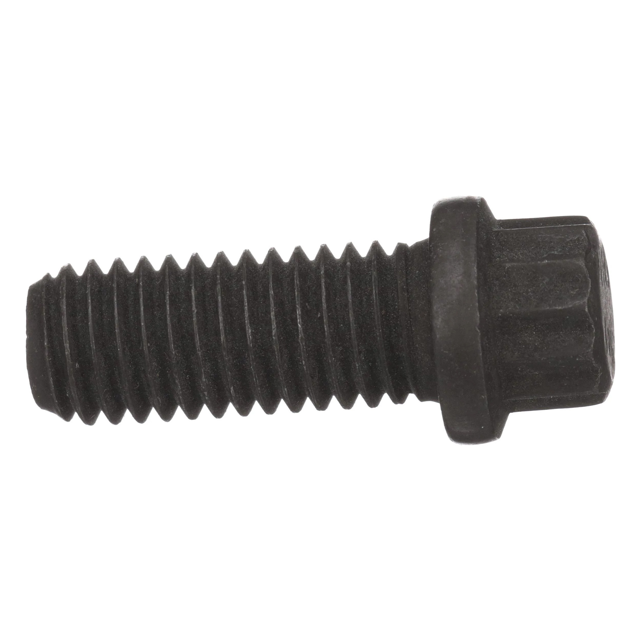 12 PT SCREW | NEWHOLLANDCE | EU | ES