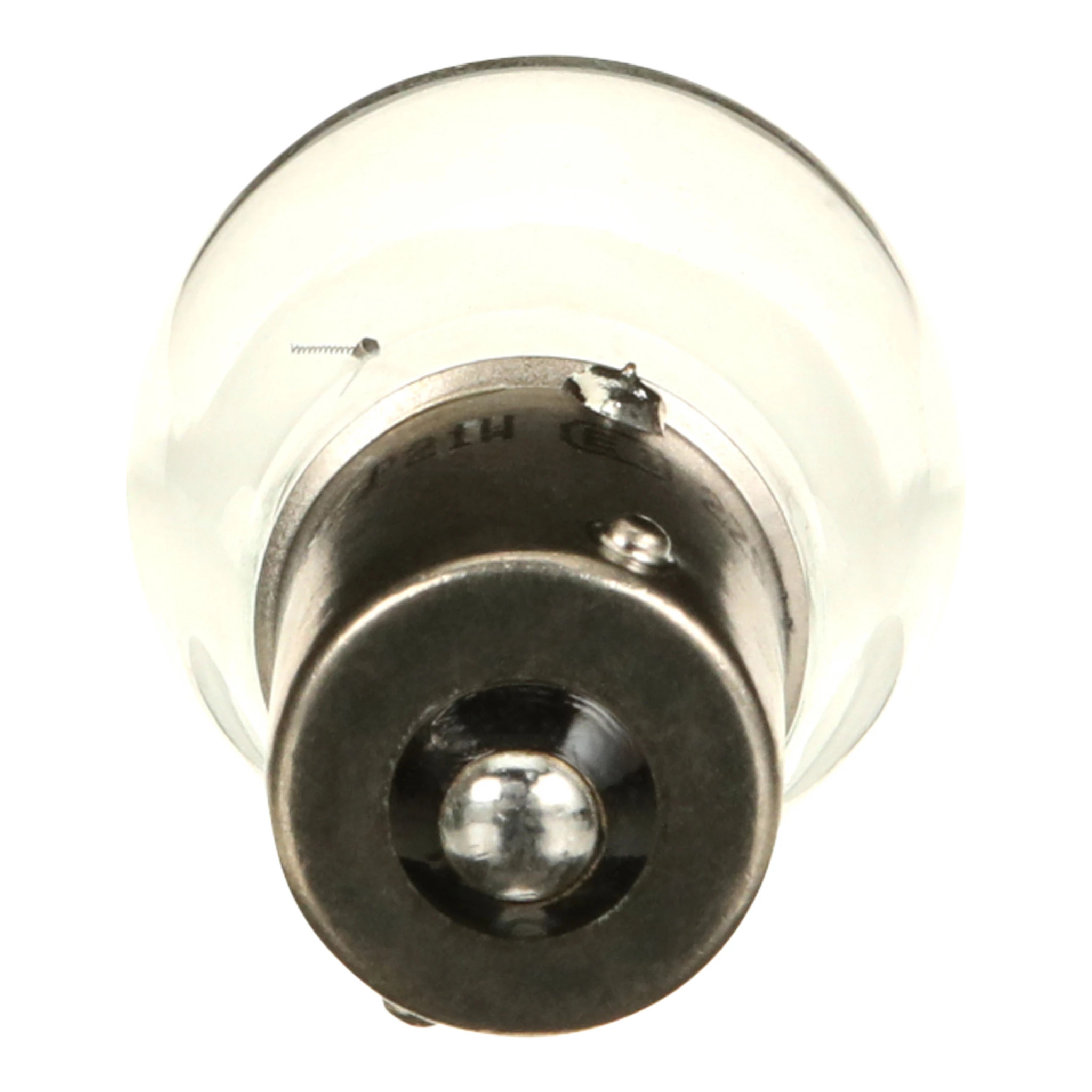 BULB | CASECE | US | EN