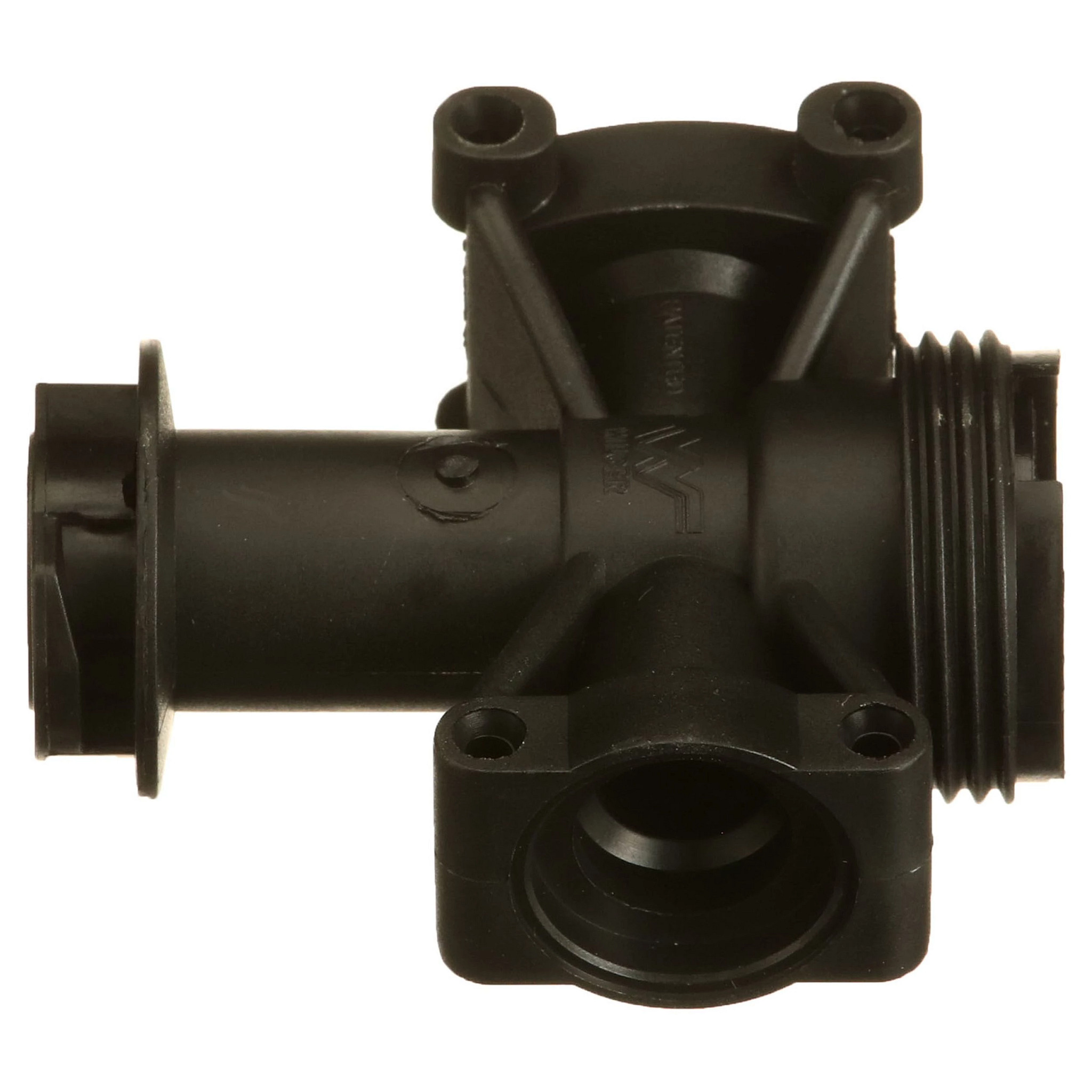 BODY | CASECE | US | EN