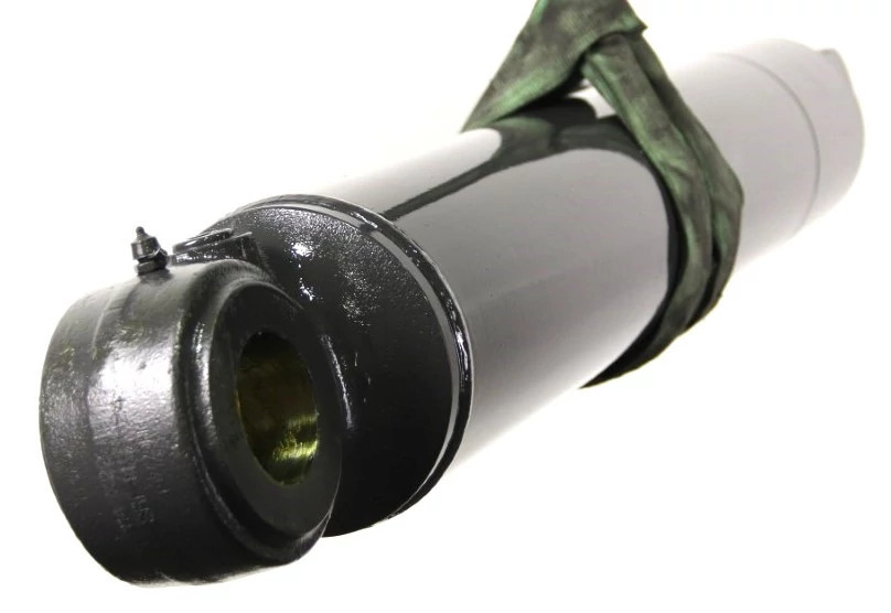 REMAN-HYD CYLINDER | CASECE | ANZ | EN