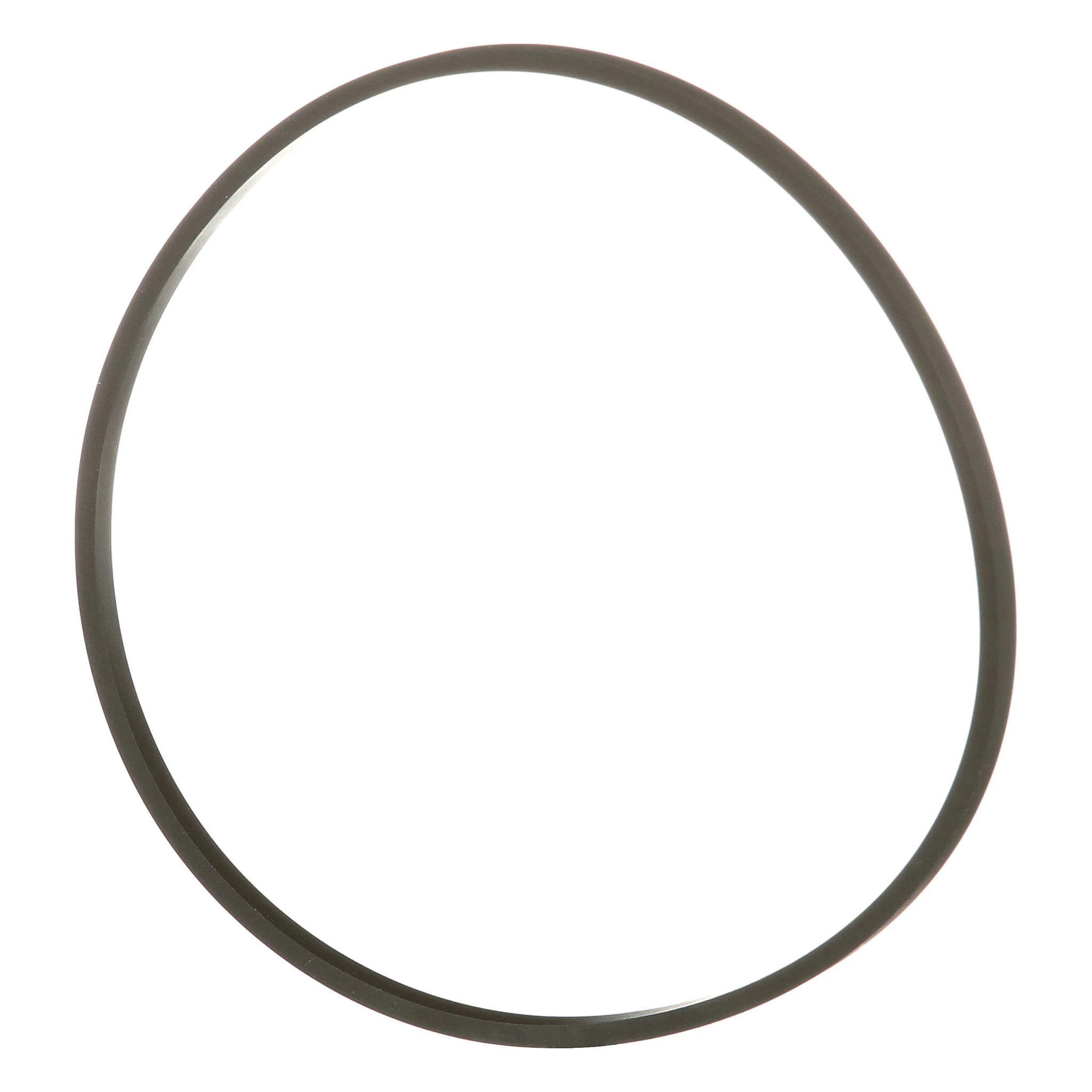 SEALING RING | NEWHOLLANDAG | EU | ES