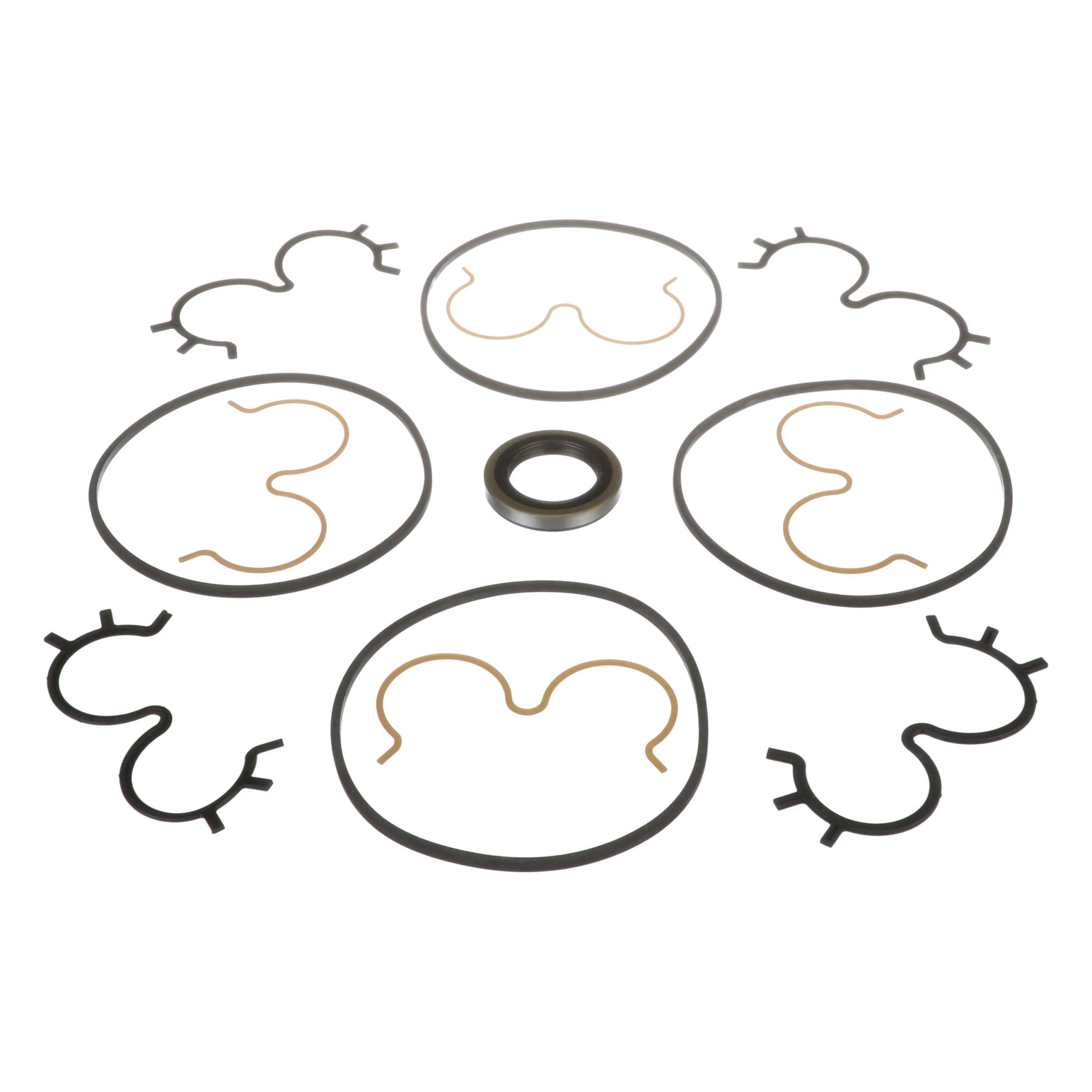 SEAL KIT | CASEIH | IE | EN