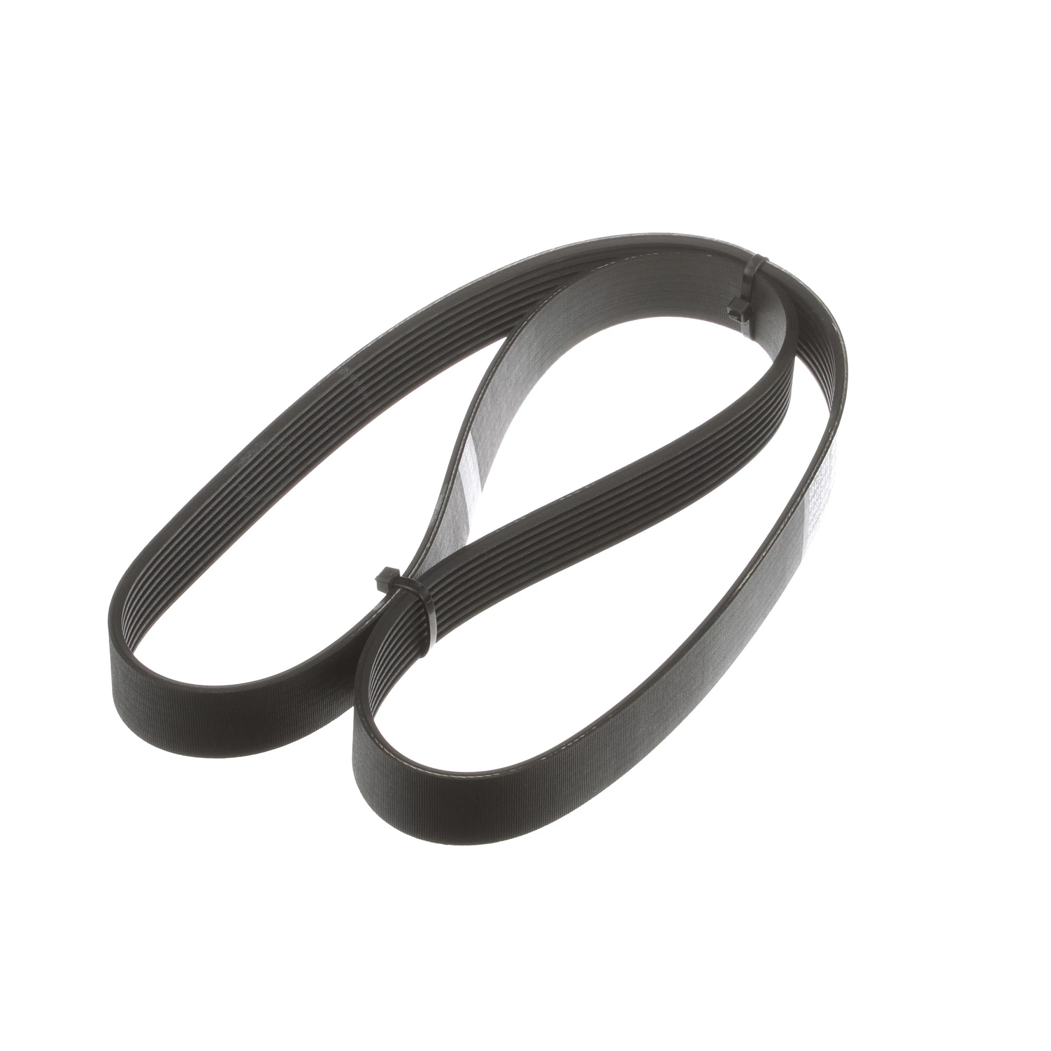Poly-V Engine Belt | CASECE | BR | PT