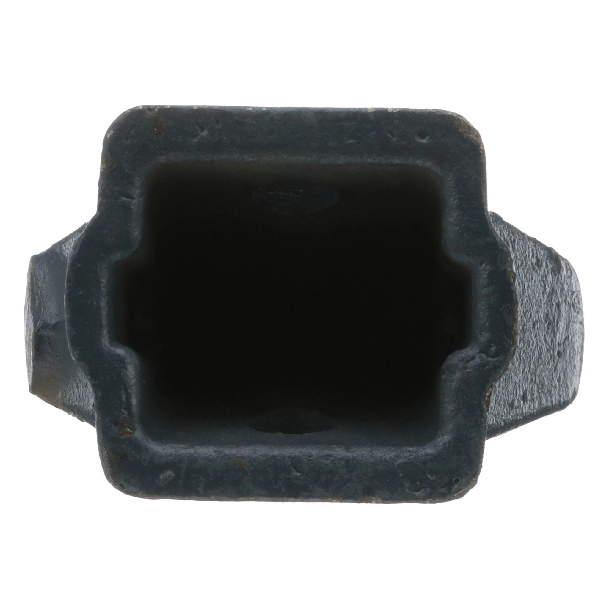 TOOTH | CASECE | US | EN